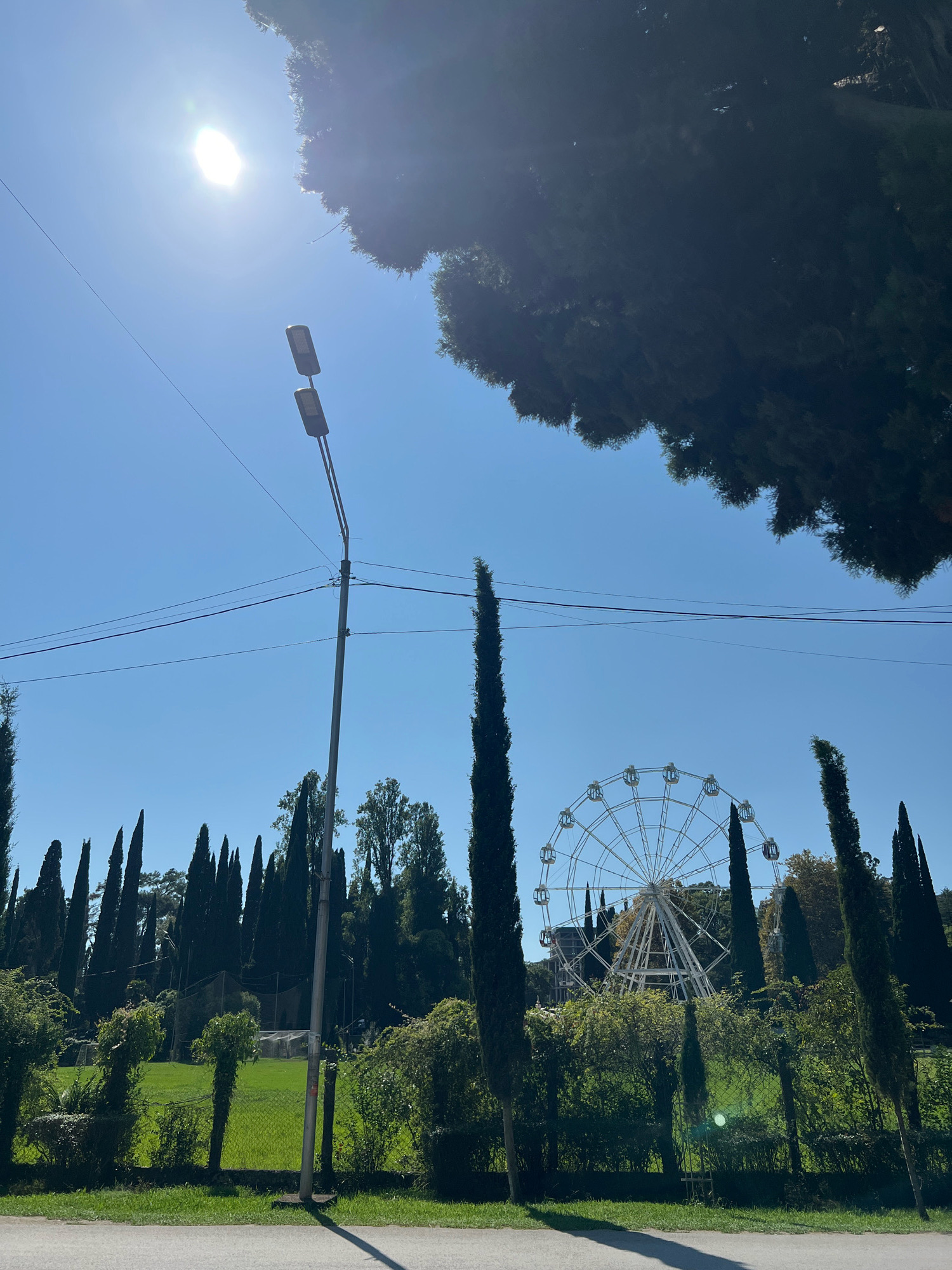 The image depicts a daytime scene in a park or recreational area, likely in New Athos, Abkhazia, given the context. A large Ferris wheel is visible in the background, standing out against a clear blue sky. The Ferris wheel is white and appears to be operational, with multiple gondolas.
In the foreground, a tall lamppost with two lights is positioned to the left of the frame. Power lines run horizontally across the sky, connecting to the lamppost and extending out of view. The area is densely populated with tall, slender cypress trees, which form a striking vertical element throughout the landscape. Some smaller trees and bushes are also present, creating a layered effect.
A grassy field is visible behind a low fence, and in the distance, what appears to be a sports field or recreational ground with some structures can be discerned. The sun is bright and high in the sky, casting sharp shadows. The overall impression is one of a sunny day in a green, park-like environment, possibly an amusement park or a leisure area featuring a Ferris wheel. There are no people visible in the frame.