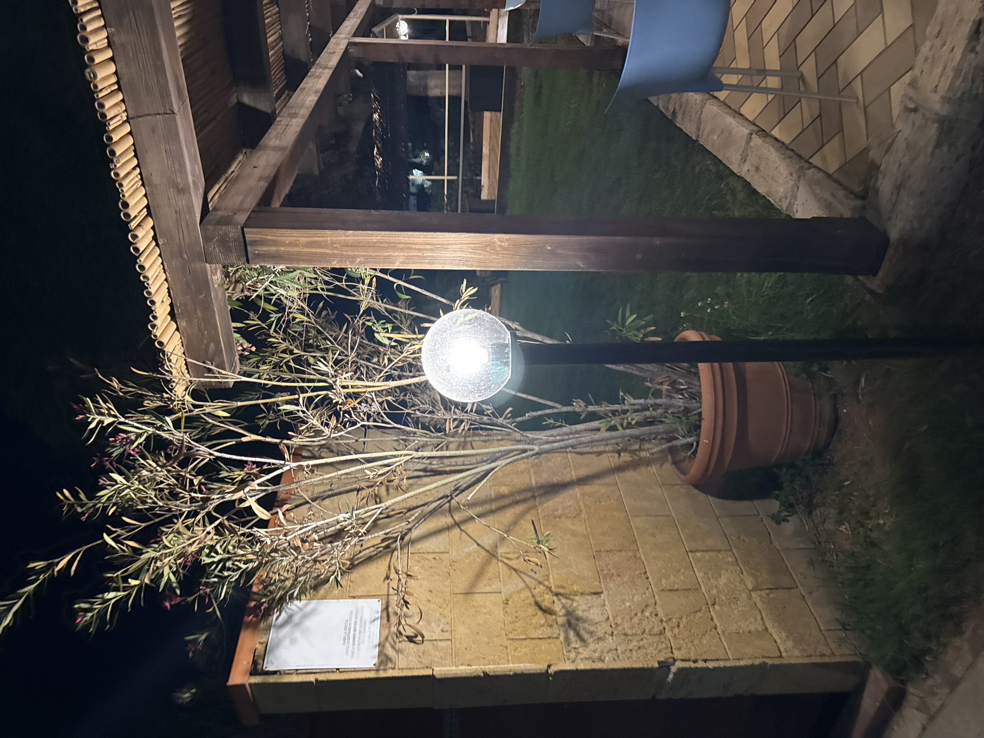 The image portrays an outdoor area at night, brightly illuminated by artificial light, suggesting a patio or garden setting. The location is likely a relaxed establishment in Isola delle Femmine, Italy, such as a restaurant, cafe, or guesthouse.
In the foreground, a prominent feature is a tall, slender plant, possibly an oleander, characterized by its long branches and hints of small pink flowers or buds. It is housed in a large, overturned terracotta pot, which appears to have been repurposed or is simply positioned on its side. Adjacent to the plant is a modern spherical outdoor lamp on a black pole, emitting a bright white light that casts shadows and highlights parts of the scene.
Above, a rustic wooden structure, likely a pergola or gazebo, provides a sense of enclosure. Its dark wooden beams and posts are clearly visible. Along the top-left edge, there's a decorative element made of numerous small, cylindrical segments, resembling bamboo, lining what could be a roof edge or an awning. The ground beneath the plant is paved with light-colored rectangular bricks or tiles, while patches of green grass are visible on the right side and in the background.
In the upper right, a portion of a light blue plastic chair with metal legs is visible, resting on a tiled surface next to a stone-edged platform. Further in the background, obscured by the wooden structure and shadows, distant lights are faintly discernible. A white rectangular sign is affixed to a low wall directly below the plant. Though the text is blurry, several Italian words like "LA SICUREZZA" (safety), "PRESCRIZIONI" (prescriptions/regulations), and "REGOLE" (rules) can be made out, indicating it's likely a notice regarding safety or property guidelines.
The time of day is clearly nighttime, emphasized by the strong artificial lighting and surrounding darkness. The atmosphere is calm and inviting, typical of an evening outdoor space in a Mediterranean climate. No people are present, indicating a moment of quiet before or after activity.