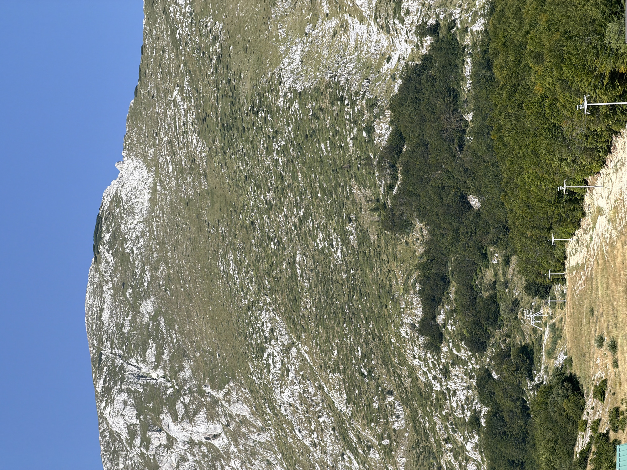 The image captures a mountain slope under a clear blue sky. The upper portion of the mountain is characterized by rugged, white rocky formations interspersed with patches of green vegetation. As the slope descends, the vegetation becomes denser, transitioning into a thick forest of green trees in the lower part of the image. In the foreground, a dry, grassy field is visible, with some ski lift infrastructure, including poles and lines, sparsely scattered across it. The overall scene depicts a natural mountain landscape, likely in a rural or mountainous area. The city of Virak, Montenegro is not depicted in the image.