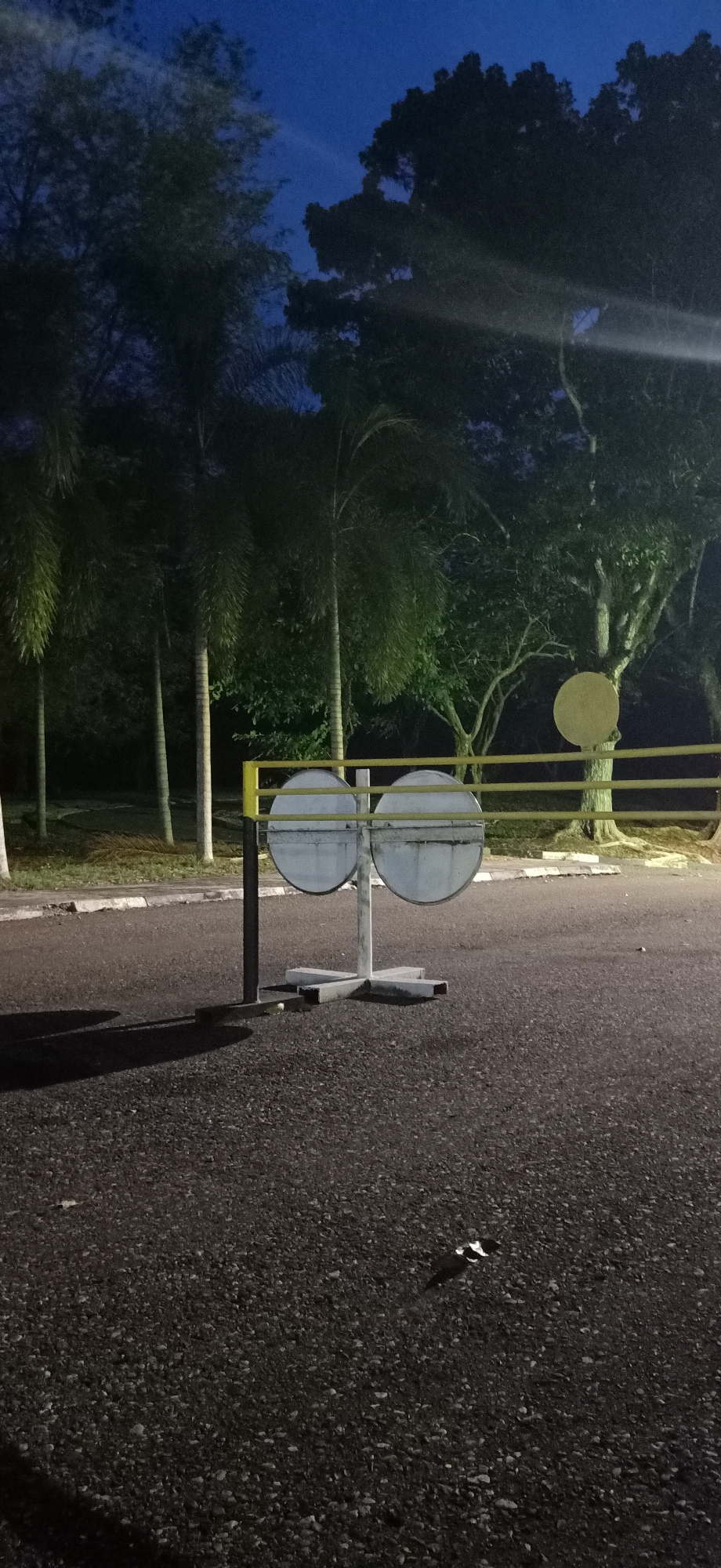 The image depicts an outdoor scene at dusk or night, with a dark blue sky and silhouetted trees. In the foreground, a black post supports a horizontal yellow bar, which extends across the frame. Attached to this yellow bar are two circular, reflective white barriers, positioned side-by-side. These barriers are mounted on a grey base. To the right of the barriers, another yellow bar is visible, supported by tree trunks. A round, yellow object is affixed to a tree to the right of the yellow bar. In the background, several tall palm trees are visible. The ground in the foreground is asphalt. The overall impression is one of a public space or entranceway, possibly at a park or facility, with limited visibility due to the low light conditions.