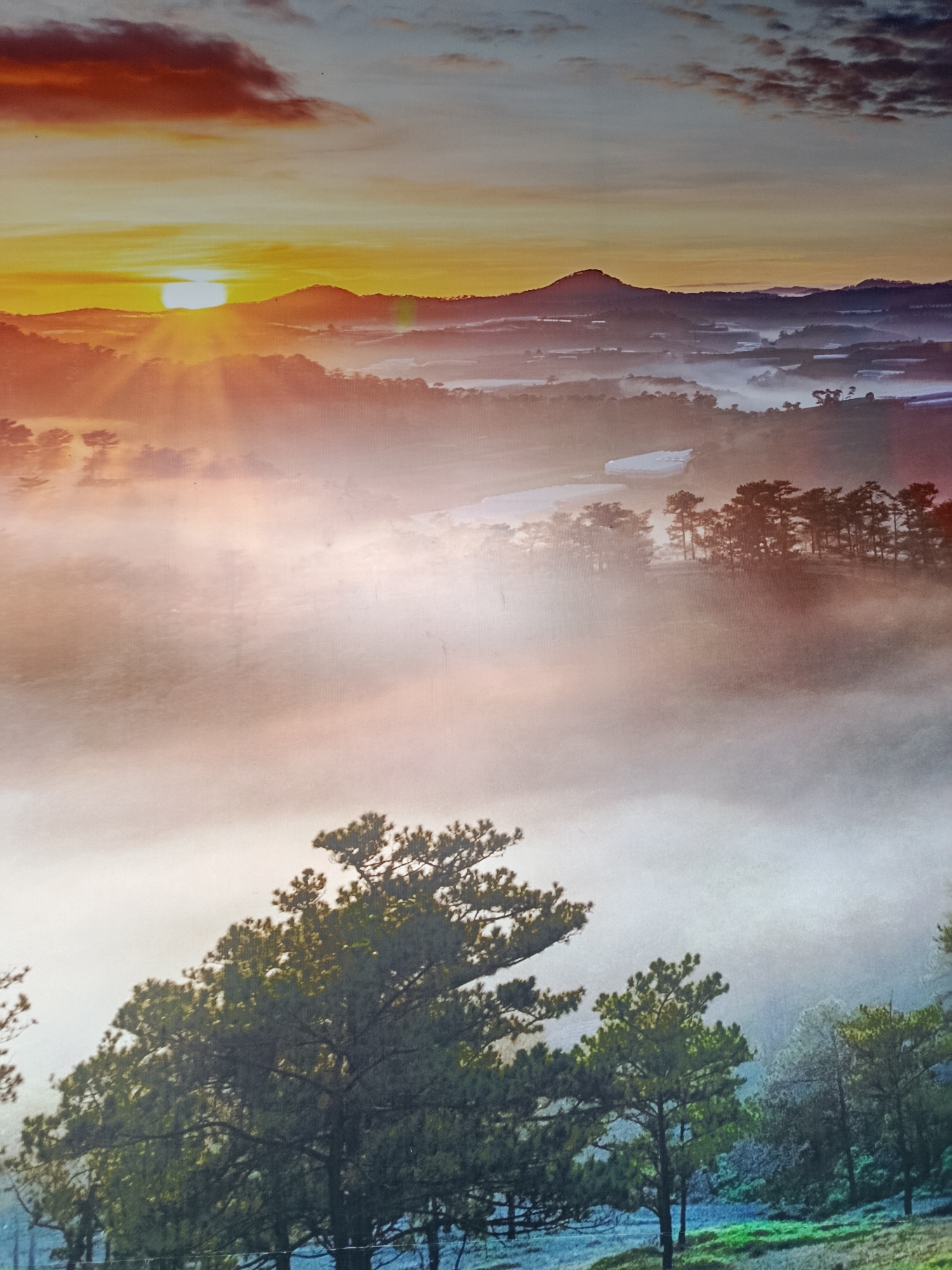 This is a photograph of a misty mountain landscape during sunrise. The sun is low on the horizon, casting a warm orange and yellow glow across the sky and illuminating the mist that blankets the valleys. Silhouetted trees are visible on the slopes, and in the distance, there are hints of human habitation, possibly greenhouses or small structures. The foreground features a few large trees with dense foliage. The scene captures a serene and picturesque view. The image is described as being of a location in Xuan Thanh City, Vietnam.