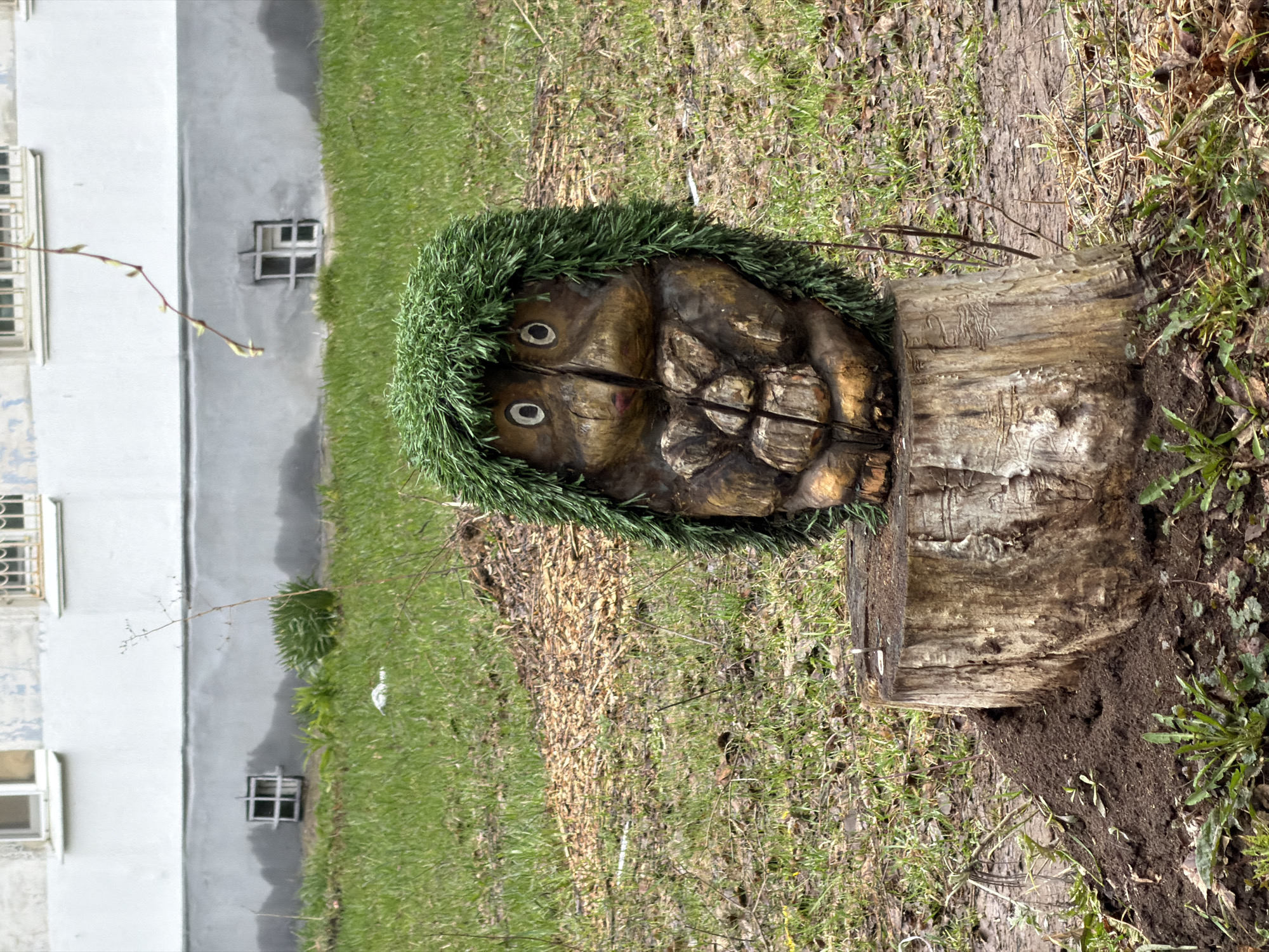 The image presents an outdoor scene featuring a handcrafted wooden sculpture. A carved face, resembling a whimsical gnome or nature spirit, is prominently displayed on top of a tree stump in the foreground. The sculpture has large, white-painted eyes with black pupils and is adorned with bright green artificial grass, simulating hair or foliage. The wood of the sculpture shows natural textures, grains, and some cracks.
The tree stump beneath the sculpture is also weathered, exhibiting patterns and natural wear. The ground around the stump is a mix of green grass, patches of dry, fallen leaves, and exposed earth, suggesting an early spring setting.
In the background, a light-colored, multi-story building, likely an apartment block, is visible. The building has several rectangular windows, some of which feature grates or bars. The concrete or stucco facade appears somewhat aged, with visible discoloration or peeling paint. A slender, budding branch extends from the left side of the frame, indicating the season.
The scene is illuminated by clear daylight, implying a sunny or bright day. There is no visible activity or event, only the static display of the sculpture and its surroundings. No text is visible in the image. The overall atmosphere suggests a casual outdoor area, possibly a communal space or yard adjacent to residential buildings, consistent with a location such as Chaikovsky, Russia.
