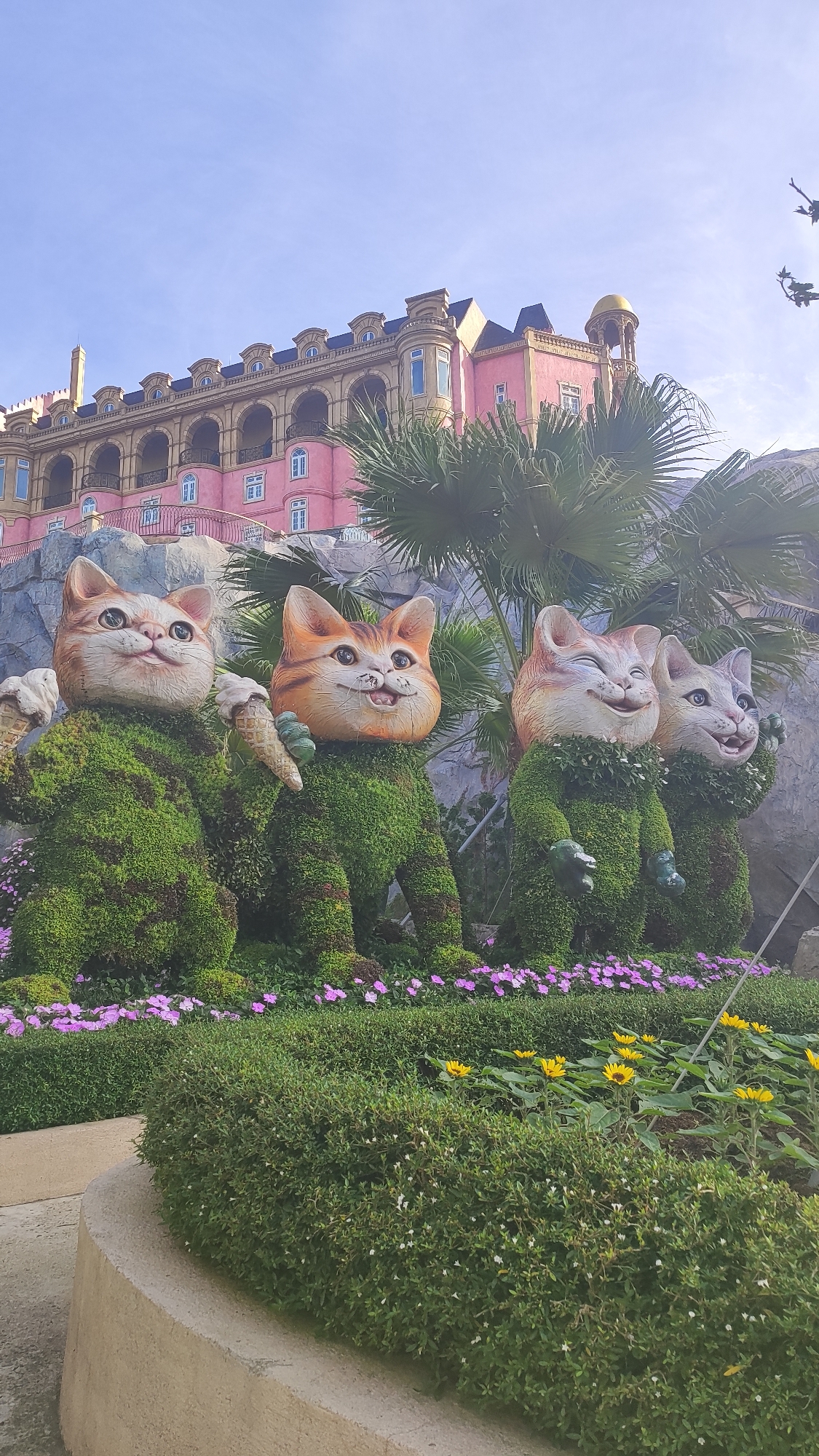 The image depicts a picturesque outdoor scene at Sun World Ba Na Hills in Đà Nẵng, Vietnam, showcasing whimsical topiary cat statues adorned with lush green foliage. These four cat figures, each with a unique facial expression and pose, are strategically placed amidst a vibrant garden setting. The statues are approximately human-sized and are sculpted to resemble cartoonish cats. The leftmost statue holds an ice cream cone, while another statue in the group has its arms extended outward.
Behind the cat sculptures, a large, multi-story building with a distinctive pink facade and beige architectural details dominates the background. This building features multiple arched windows and balconies, suggesting a European architectural influence. Palm trees and other lush vegetation are scattered around the area, adding to the tropical ambiance. The ground is covered with manicured bushes and flowering plants, including purple flowers in the foreground and yellow sunflowers further back, enhancing the overall beauty of the landscape. The sky above is a clear, bright blue, indicating a sunny day. The overall impression is one of a whimsical and well-maintained tourist attraction, likely part of a theme park.