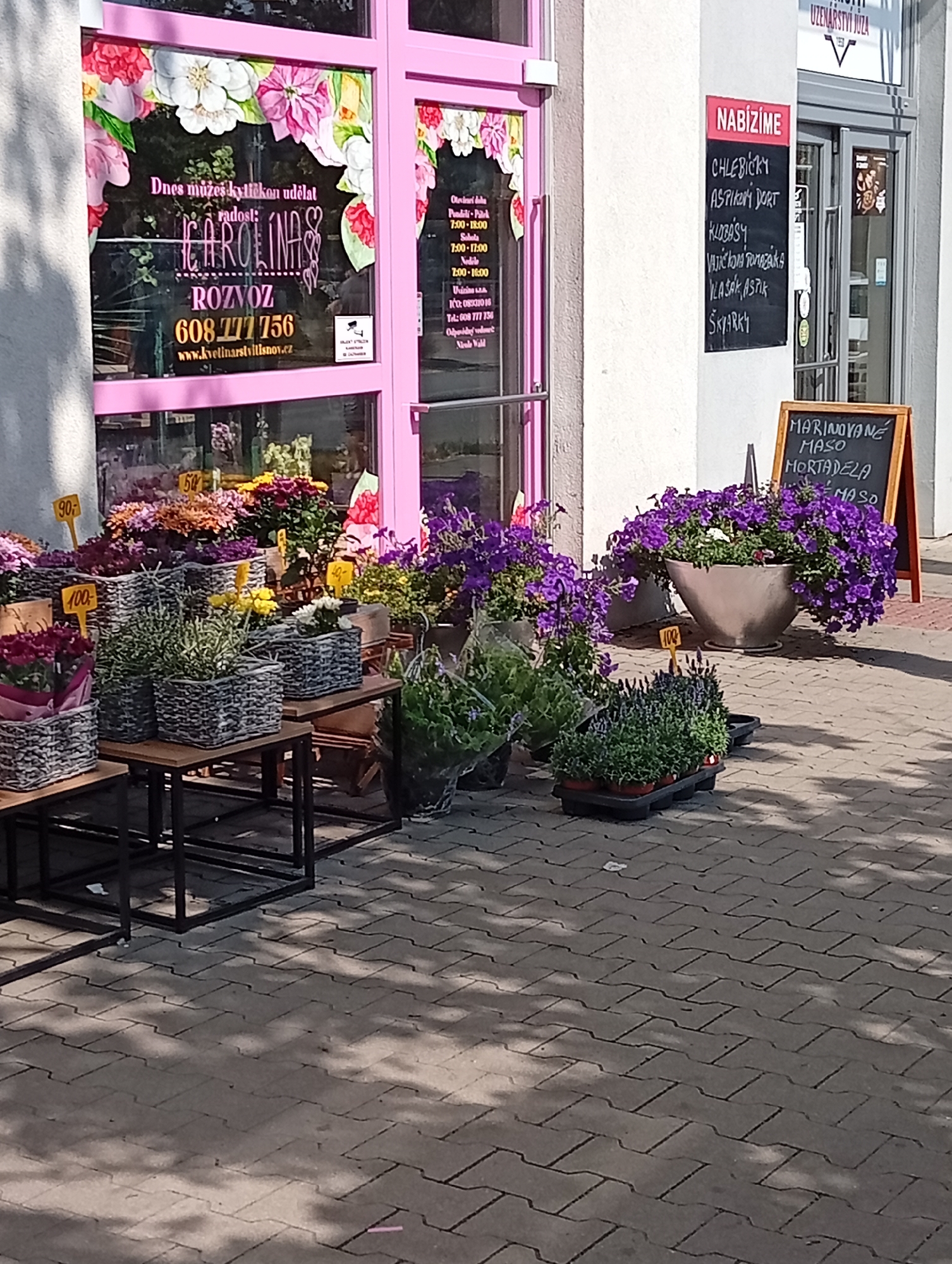 The image shows the exterior of a flower shop in Tišnov, Czechia, with flowers displayed outside. The shop has a pink facade and large glass windows displaying floral arrangements and signage. A menu board is placed near the entrance, listing food items. The pavement in front of the shop is made of interlocking concrete blocks, with shadows cast by trees or awnings. There are various potted plants and flowers for sale, arranged on tables and on the ground. Prices are indicated on some of the plant displays with yellow signs. The overall scene suggests a sunny day with outdoor commerce taking place.