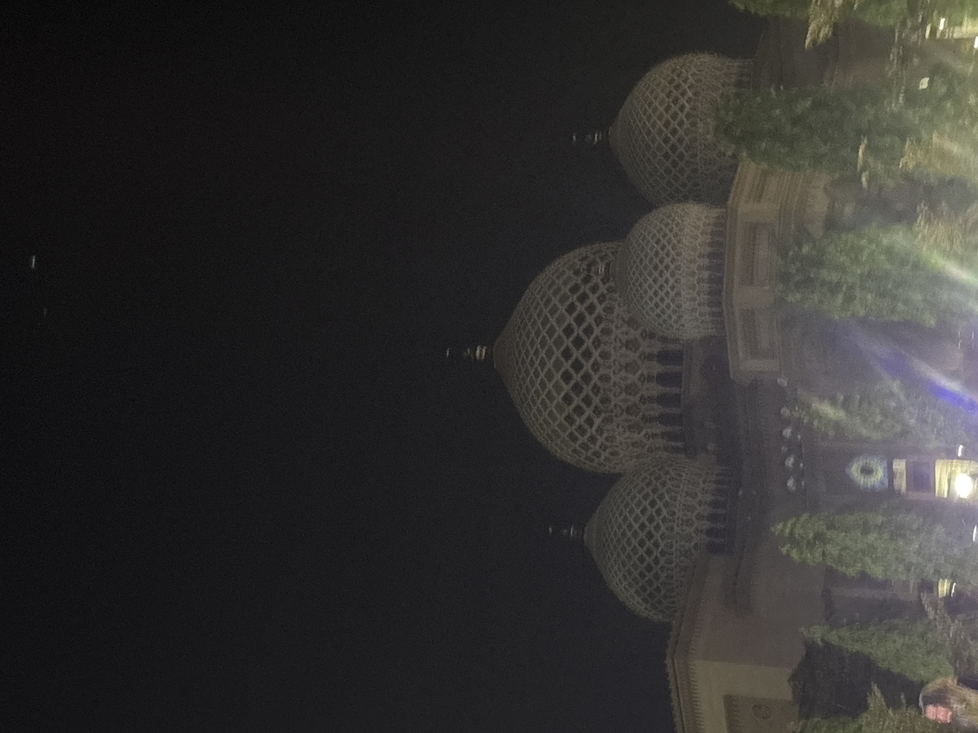 The image shows a nighttime view of the Baiturrahman Grand Mosque in Lhokseumawe, Indonesia. The mosque features several ornate domes with a patterned design, illuminated against the dark sky. In the foreground, lush green trees partially obscure the lower portion of the building. The overall scene is dark, with some ambient lighting from the mosque and possibly nearby streetlights. There are no visible people in the frame.