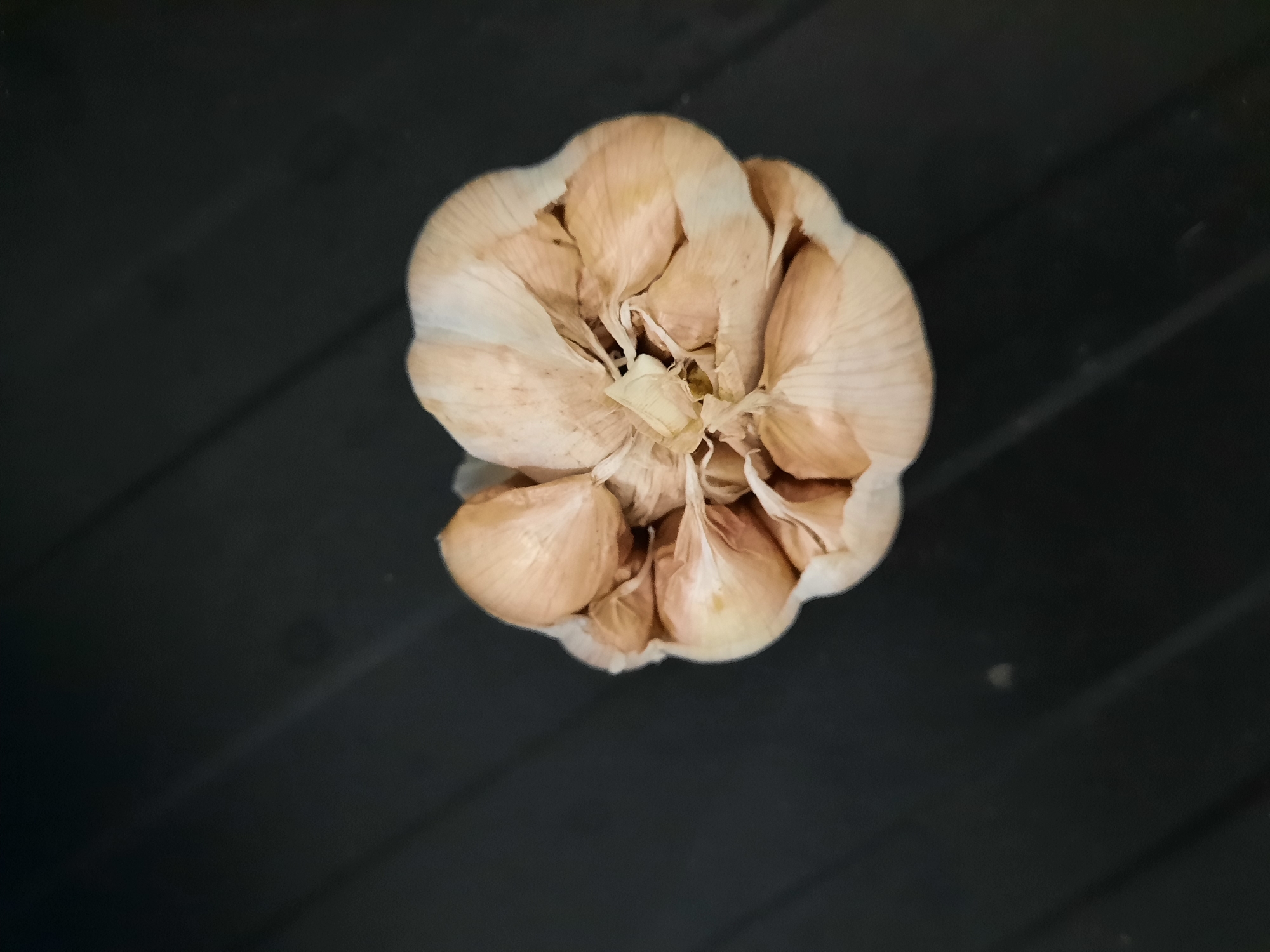 A close-up, top-down shot focuses on a head of garlic against a dark, textured surface. The garlic bulb is composed of several cloves, each encased in a papery, light brown skin. Some of the outer layers of skin have peeled back, revealing the lighter, creamy-white cloves beneath. The cloves are clustered tightly together, with the central stem visible. The dark surface appears to be a table or countertop with a wood-grain pattern, characterized by diagonal lines. The lighting creates subtle shadows that emphasize the texture of both the garlic and the surface. There is no indication of the location being within the city of Lhokseumawe, Indonesia.
