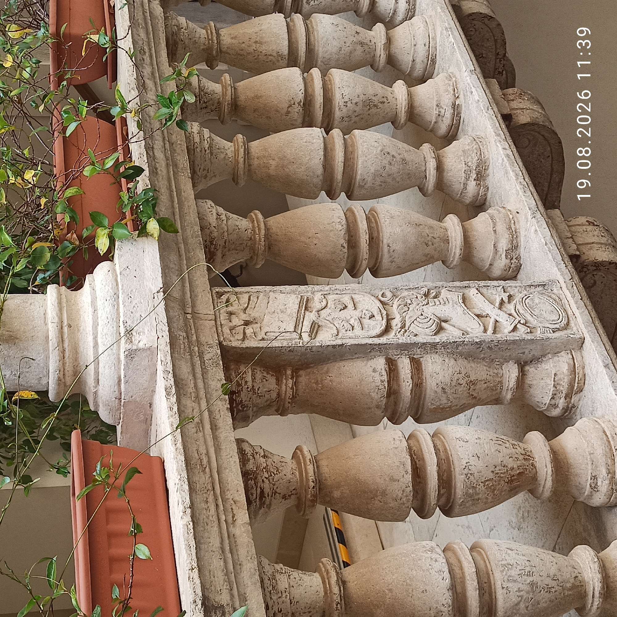 The image shows a stone balustrade in a courtyard, likely in Ruvo di Puglia, Italy. The balustrade is composed of numerous turned balusters, each with a decorative, classical design. The stone appears weathered, with some chipping and discoloration. In the background, two terracotta planters are visible, each containing greenery. A vine with small leaves is trailing over the balustrade, partially obscuring some of the balusters. The ground beneath the balustrade is paved with light-colored tiles. The overall scene suggests an outdoor space, possibly a garden or patio, with an architectural focus on the decorative balustrade. A date and time stamp, "19.08.2026 11:39", is overlaid on the bottom right of the image. There are no people visible in the image.