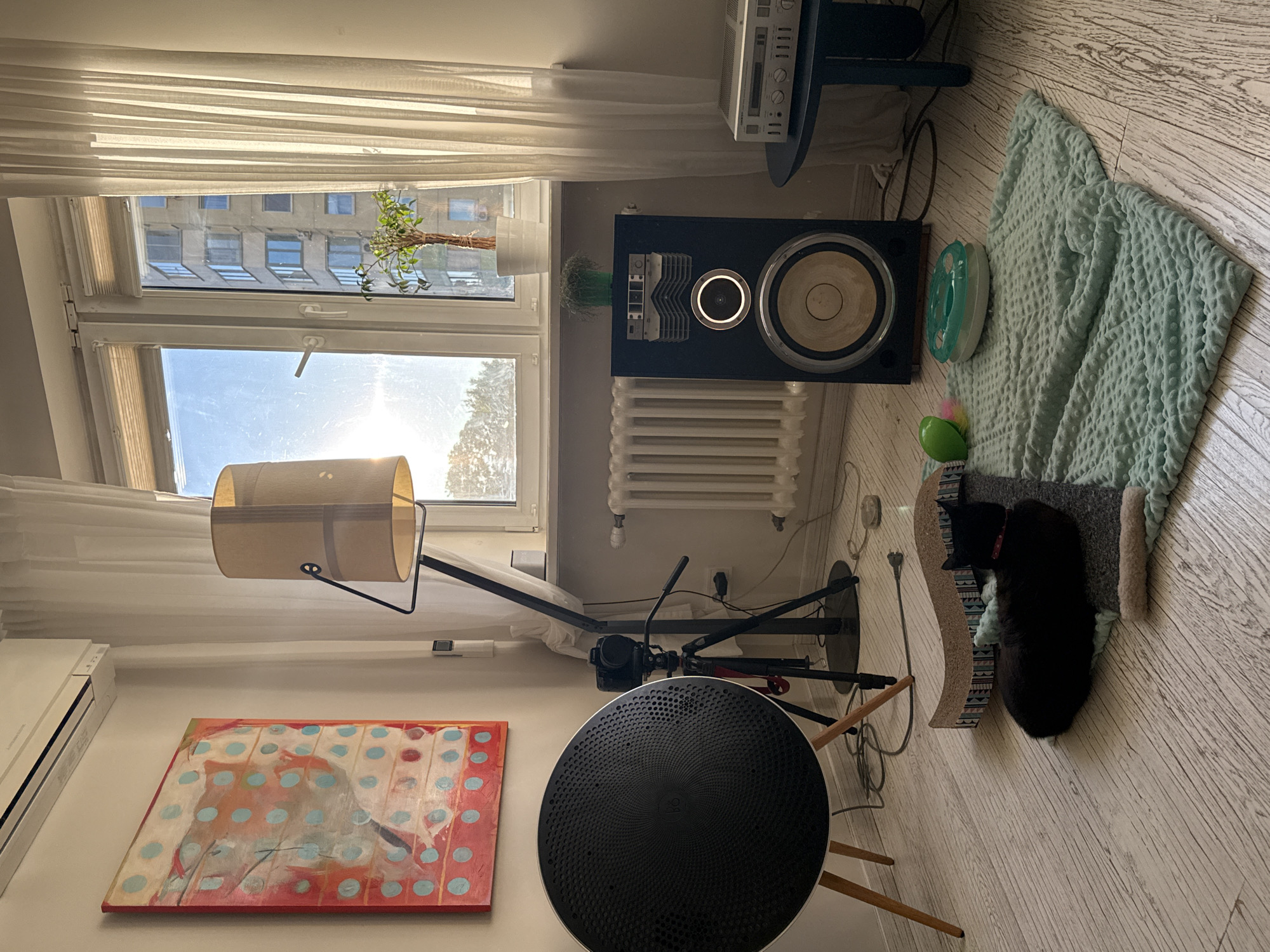 The image depicts a living room interior scene, likely in Minsk, Belarus, given the architectural style of the building visible through the window. The room features a large window with sheer white curtains, letting in natural light. Dominating the scene are several audio equipment items, including a large black speaker on the right and a circular speaker on the left. A camera on a tripod is positioned between these speakers. A floor lamp with a beige shade stands near the window. On the floor, a black cat is resting on a pet bed, alongside some cat toys. A colorful abstract painting hangs on the wall above the circular speaker. A radiator is visible under the window. A small dark blue table with a silver stereo receiver is located to the right of the speaker. An air conditioner unit is mounted high on the wall. The overall environment suggests a domestic space with an emphasis on audio equipment and pet amenities.