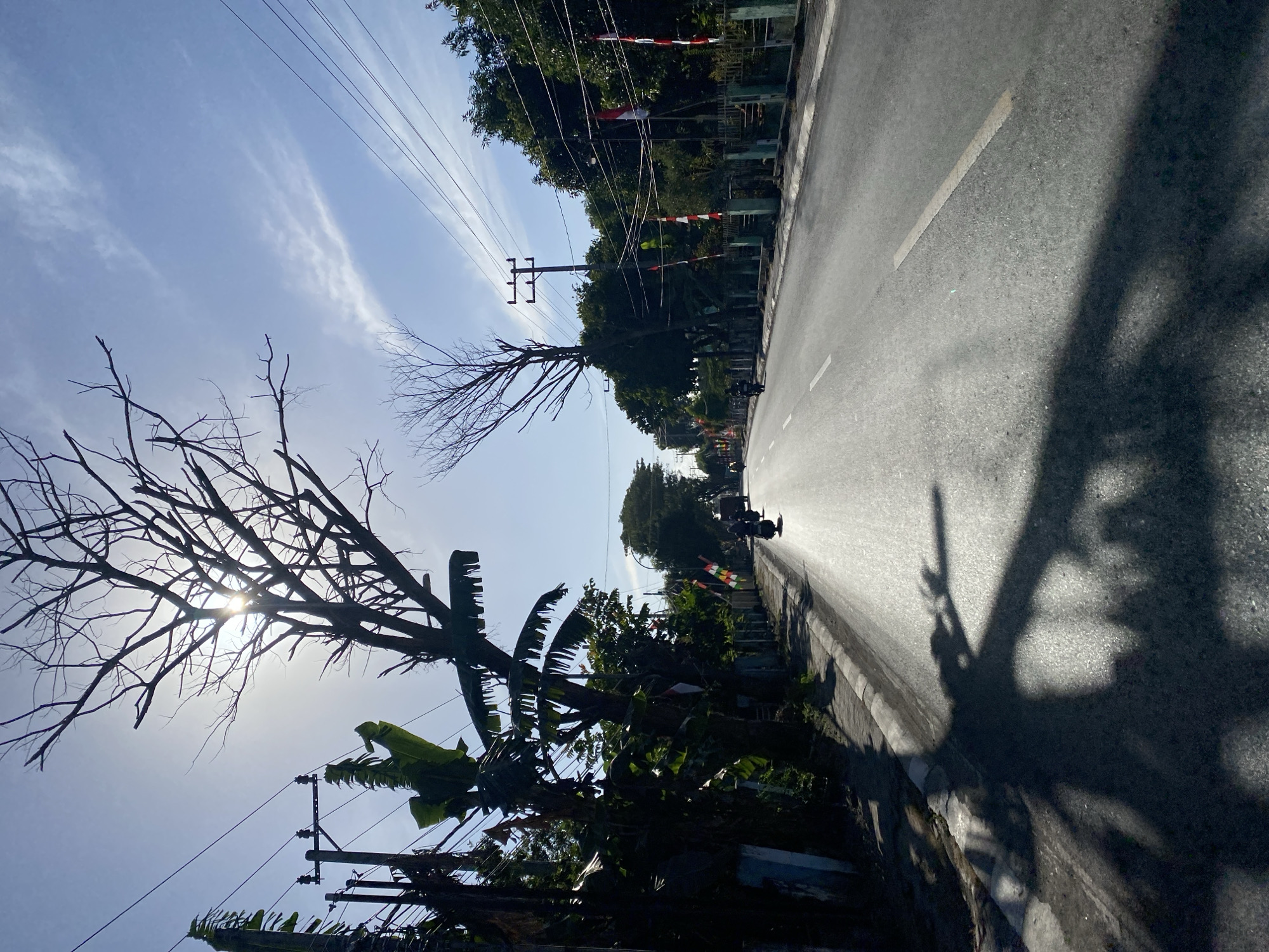 The image depicts a road in the city of Jalanjang, Indonesia, under a bright, hazy sun. A silhouetted bare-branched tree dominates the left side of the frame, its branches reaching towards the sky. To its right, banana trees with large, torn leaves are visible. Power lines crisscross the sky, supported by utility poles. The road itself is paved and appears wet, reflecting the sunlight. Several motorcycles are present on the road, with one in the foreground showing its shadow cast on the pavement. The right side of the road is lined with a fence and a line of trees, with red and white flags, likely Indonesian flags, affixed to poles along the fence. The sky is a pale blue with wispy clouds. The overall impression is of a sunny day in a tropical environment.