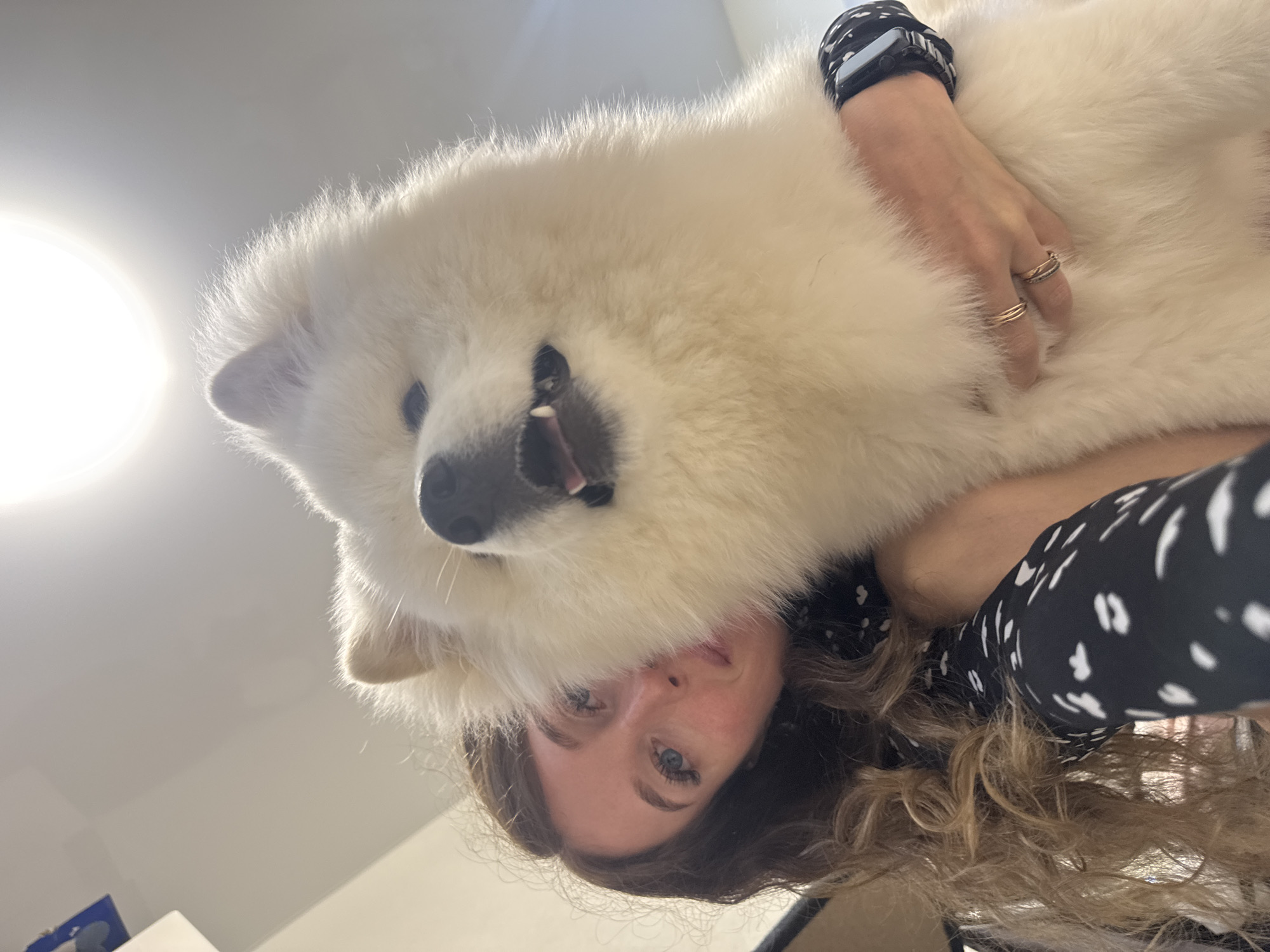 A low-angle, close-up, indoor, self-portrait shows a woman and a large, fluffy, white dog. The woman has long, wavy, brown hair, blue eyes, and is wearing a black and white patterned top. She is holding the dog, which is positioned in front of her, obscuring much of her body. The dog has a black nose and mouth, and its tongue is visible. The background is out of focus, but appears to be an indoor environment with a bright light source. The image does not contain any information that would suggest the location is Chaikovsky, Russia.