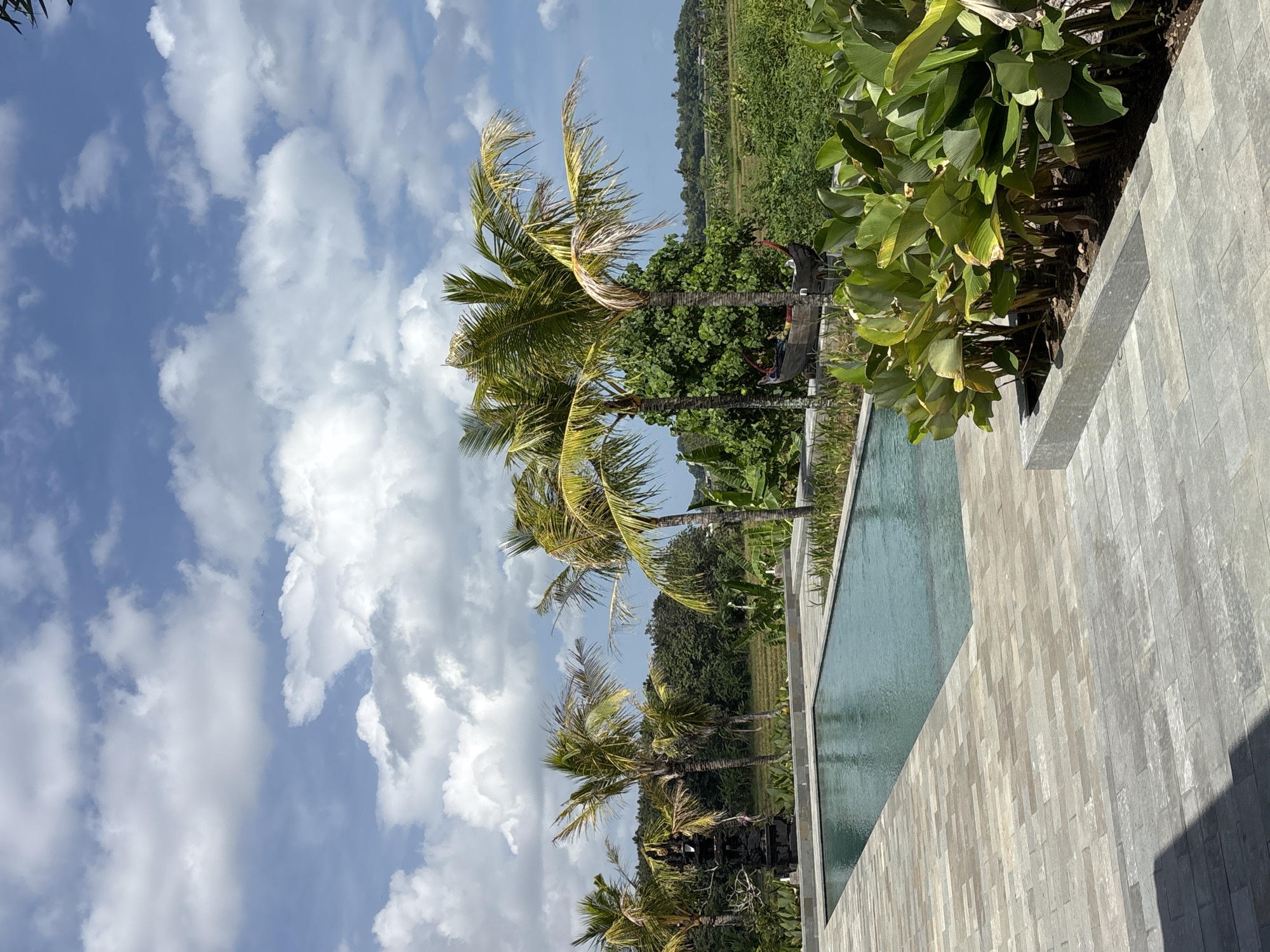 The image depicts a view from a location in Kerambitan, Indonesia. The sky is blue with numerous white clouds. In the foreground, a gray-tiled area leads to a rectangular pool of water. Several palm trees are visible in the middle ground, with lush green vegetation and rice fields extending into the background. A small structure or shrine can be seen nestled amongst the palm trees.