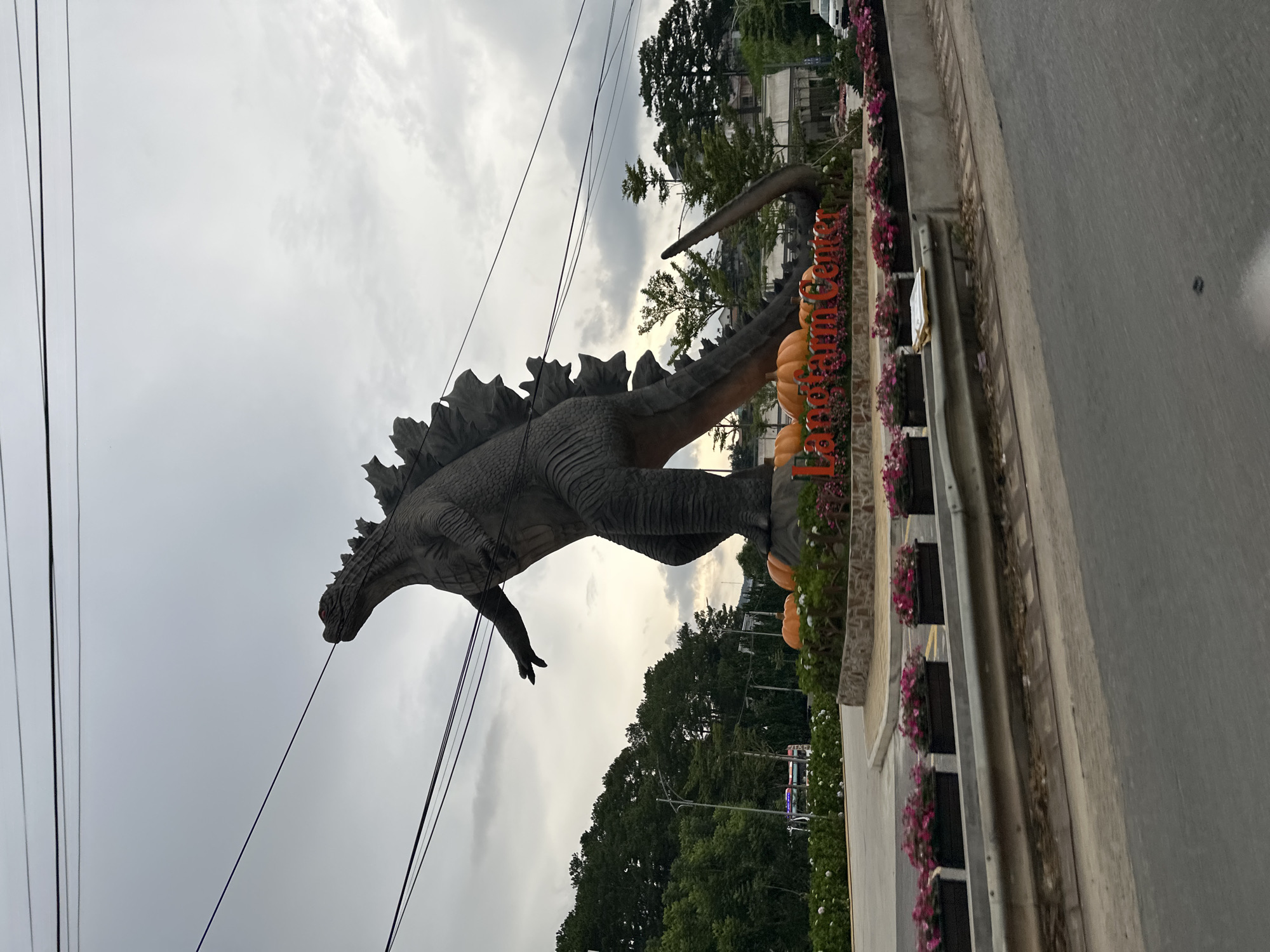 A large Godzilla statue stands prominently in a scenic outdoor setting. The statue is dark gray, with menacing spikes running down its back and a long tail that curves behind it. In front of the statue, a sign with orange lettering spells out "Lovegarden Center," surrounded by decorative pumpkins and planters filled with pink flowers. The scene appears to be decorated for a festive occasion, possibly Halloween.
The background is filled with lush green trees and buildings, suggesting an urban or suburban environment. The sky is overcast with dramatic, dark clouds, hinting at a moody or approaching storm. Power lines stretch across the sky, adding a sense of everyday reality to the otherwise fantastical display. The photograph is taken from a slightly low angle, emphasizing the immense size of the Godzilla statue. The overall impression is one of a creative and eye-catching roadside attraction, likely a popular spot for photos and local engagement. The time of day is unclear due to the overcast conditions, but the lighting suggests it could be late afternoon or early evening.