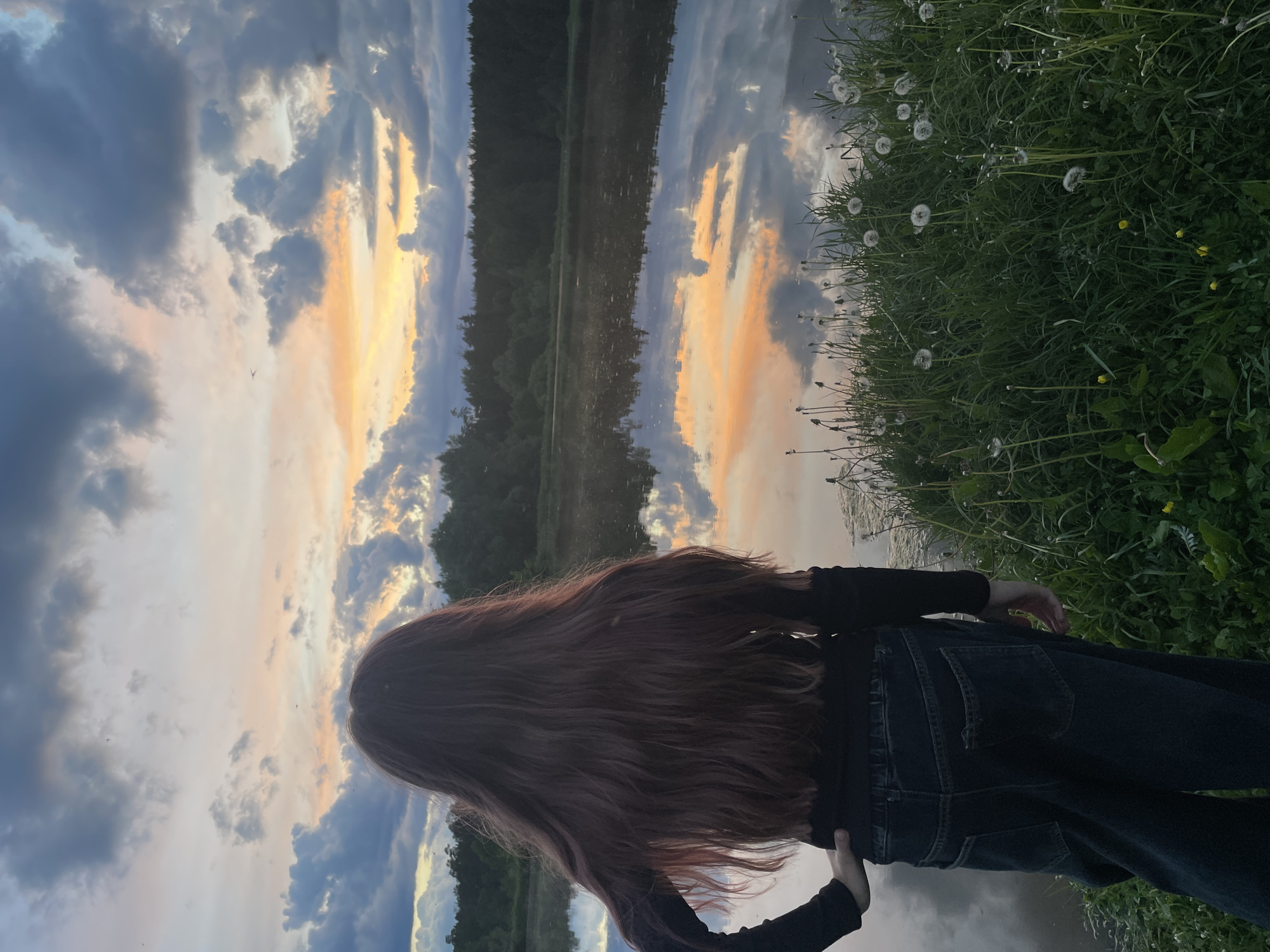 A woman stands by a body of water in a park in Балдейка, Russia, on a day with a dramatic sky. The sky is a mix of blue and gray clouds with streaks of orange, which is reflected in the water. The woman has long, brown hair, and she is wearing a black long-sleeved shirt and dark jeans. To her right is a grassy area with dandelions. The reflection of the sky and trees is visible in the water.