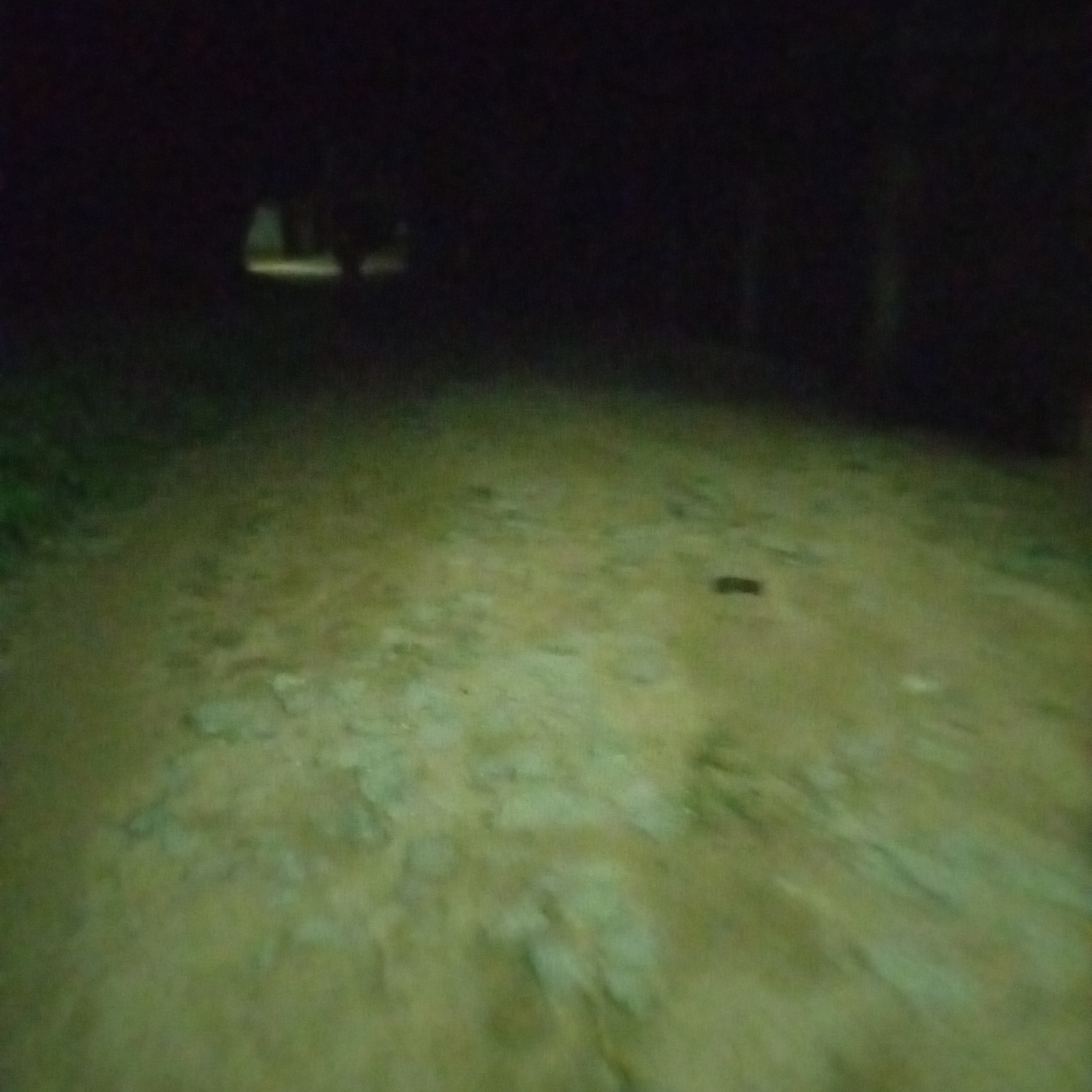 The image is a dark, grainy photograph taken at night. It appears to be an outdoor scene, possibly a dirt road or path, illuminated by a faint, artificial light source. The ground is a mottled green and brown, with some lighter patches that might be rocks or bare earth. In the upper part of the image, there are indistinct shapes that are heavily obscured by darkness. The overall impression is one of low light conditions and limited visibility. There are no discernible people, animals, or specific landmarks visible in the image. The location in Jalingo, Nigeria is not identifiable from the visual information provided.