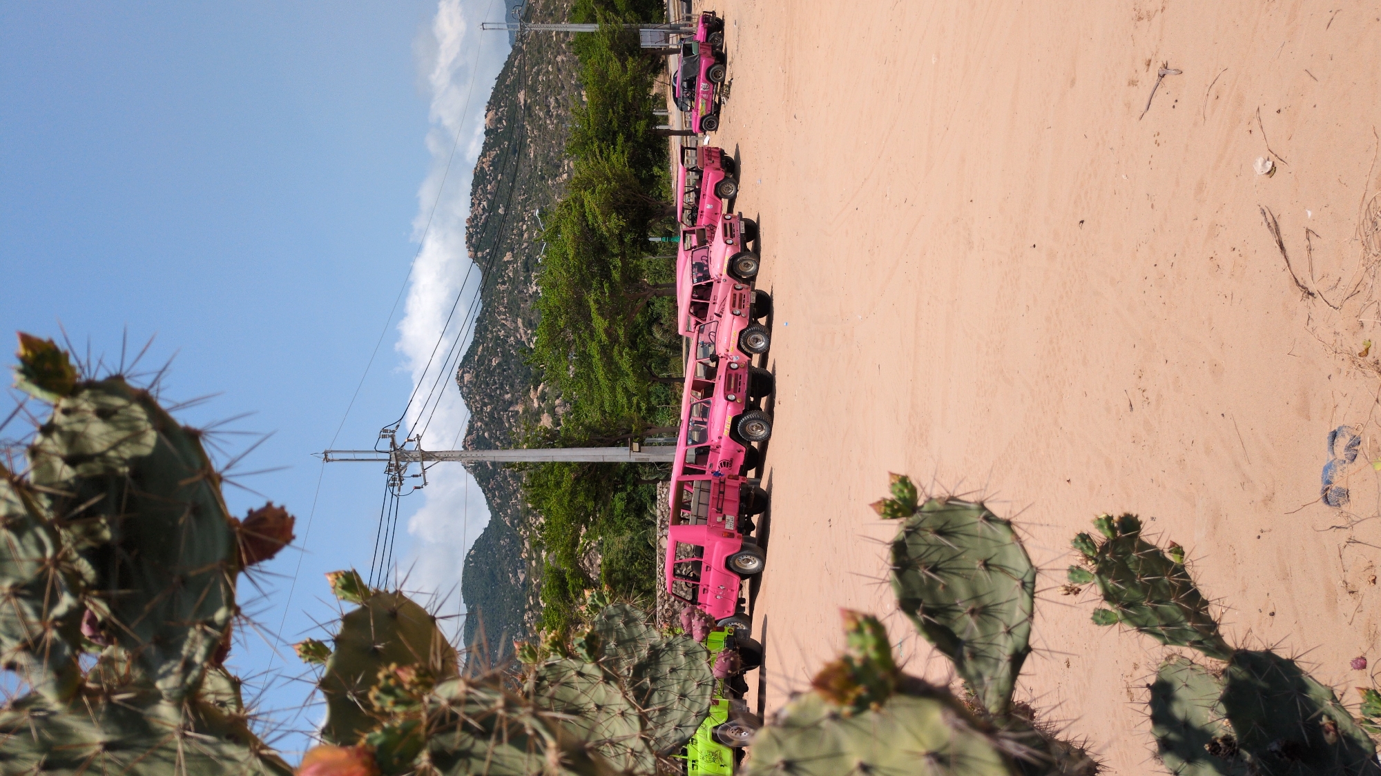 The image depicts a line of pink and green vehicles parked on a sandy terrain, possibly a desert or arid landscape. The vehicles appear to be off-road vehicles, potentially used for tours or excursions. A backdrop of green trees and mountains is visible behind the vehicles. The sky is blue with some clouds, indicating a sunny day. Cacti are visible in the foreground. The location is Phuoc Dinh, Vietnam, based on available information.