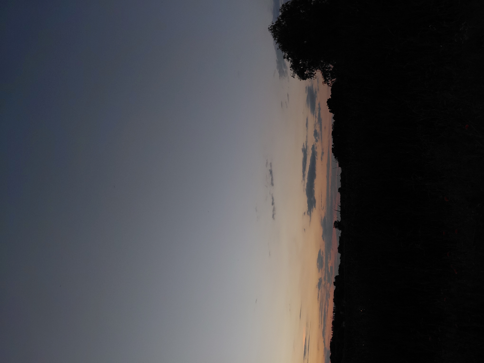 The image depicts a rural landscape at dusk, likely in or near Ustyvytsia, Ukraine. The sky transitions from a deep blue at the top to lighter shades of gray and orange near the horizon, indicating the setting sun. Scattered, wispy clouds are visible. The lower portion of the image is dominated by a dark silhouette of a treeline and field. A large, dark tree is prominent on the right side, its branches stark against the fading sky. The foreground is completely dark, obscuring any ground details, though a few faint red shapes that could be flowers are discernible at the very bottom. The overall impression is one of a tranquil, rural evening scene.