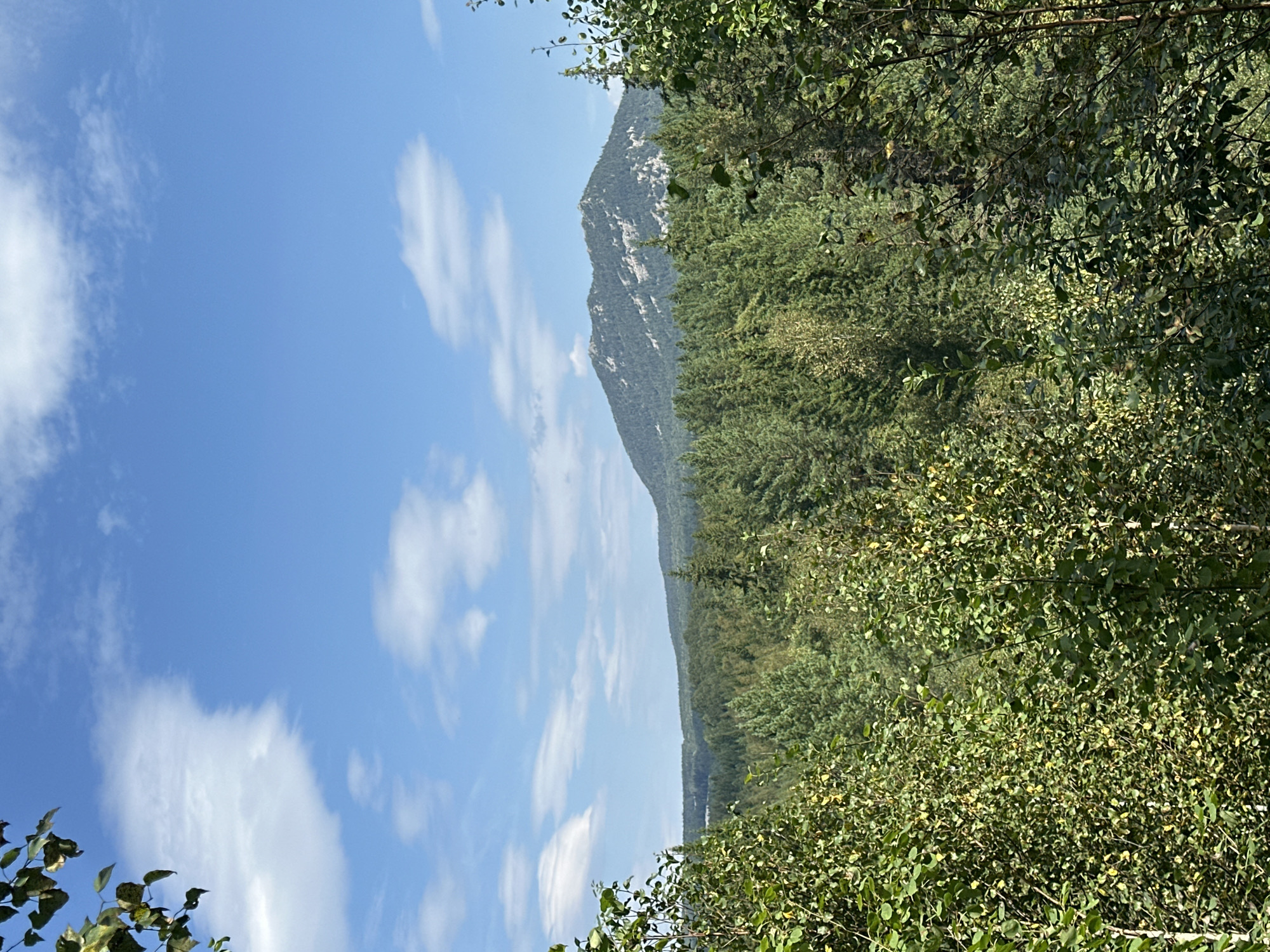 This is a vertical, eye-level, medium-distance shot of a mountainous landscape on a sunny day. The sky is a bright blue with scattered white clouds. In the foreground, dense green foliage, likely trees and bushes, frames the view. Beyond the foliage, a vast expanse of dark green coniferous forest stretches out, leading to a large, rugged mountain in the background. The mountain has a rocky, grey summit and is also covered in trees. The scene appears to be a natural, undeveloped area.