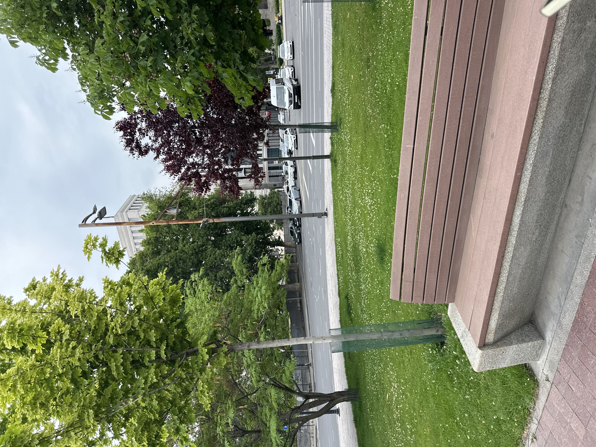 The image shows a street scene in Yerevan, Armenia. A park bench is located on the right side of the frame, next to a grassy area dotted with white flowers. A street runs parallel to the bench, with several white and black vehicles parked along it. Trees line the street, some with protective mesh around their trunks. A tall building is visible in the background. The sky is overcast.