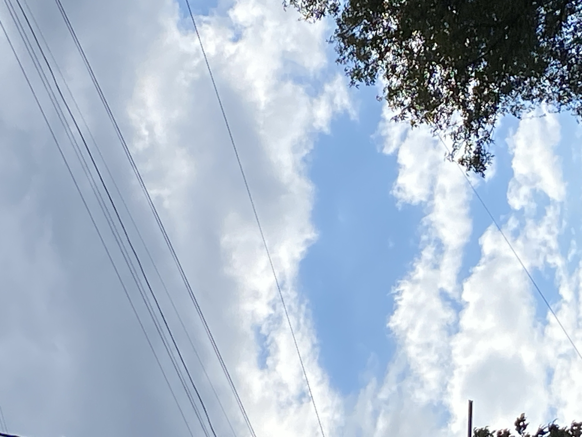 A low-angle shot captures a portion of the sky, with a clear blue expanse punctuated by scattered white clouds. Several thin black power lines stretch diagonally across the frame, cutting through the sky and clouds. In the lower right portion of the image, the dark green foliage of a tree is visible, its branches and leaves catching the sunlight. The scene appears to be outdoors, likely in a residential or urban area given the presence of the power lines and tree.