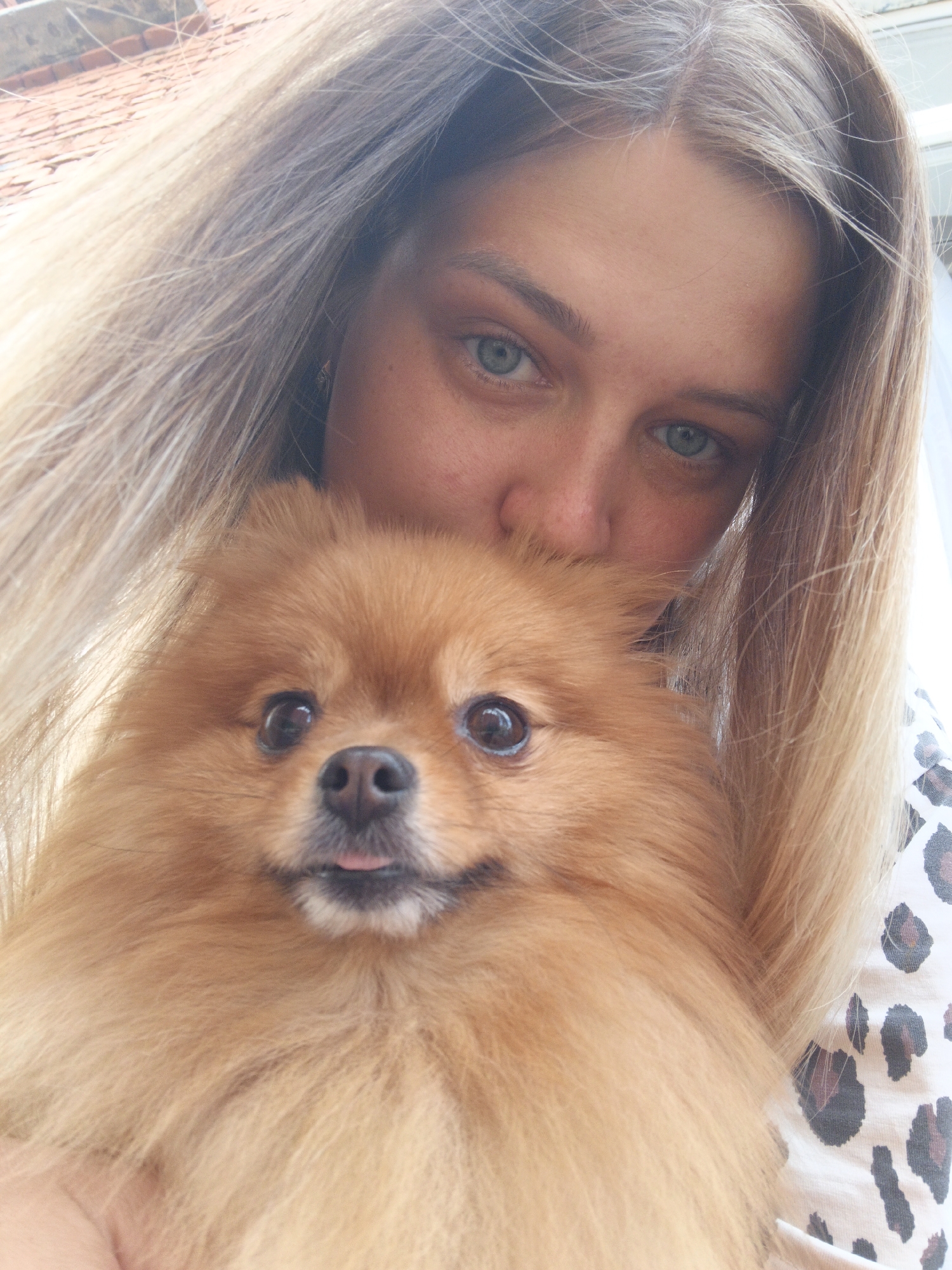 The image is a close-up, selfie-style photograph featuring a young woman and a Pomeranian dog. The woman has long, blonde hair that frames her face, and she is looking towards the camera with blue-green eyes. The Pomeranian is a light brown color and is held close to the woman's face. Its tongue is slightly out. The woman is wearing a white garment with a leopard print pattern. The background shows a blurry red-tiled roof and some light-colored structures, suggesting an outdoor setting. The lighting suggests it is daytime. There is no information about the location within the city of Medvedyovka, Russia.