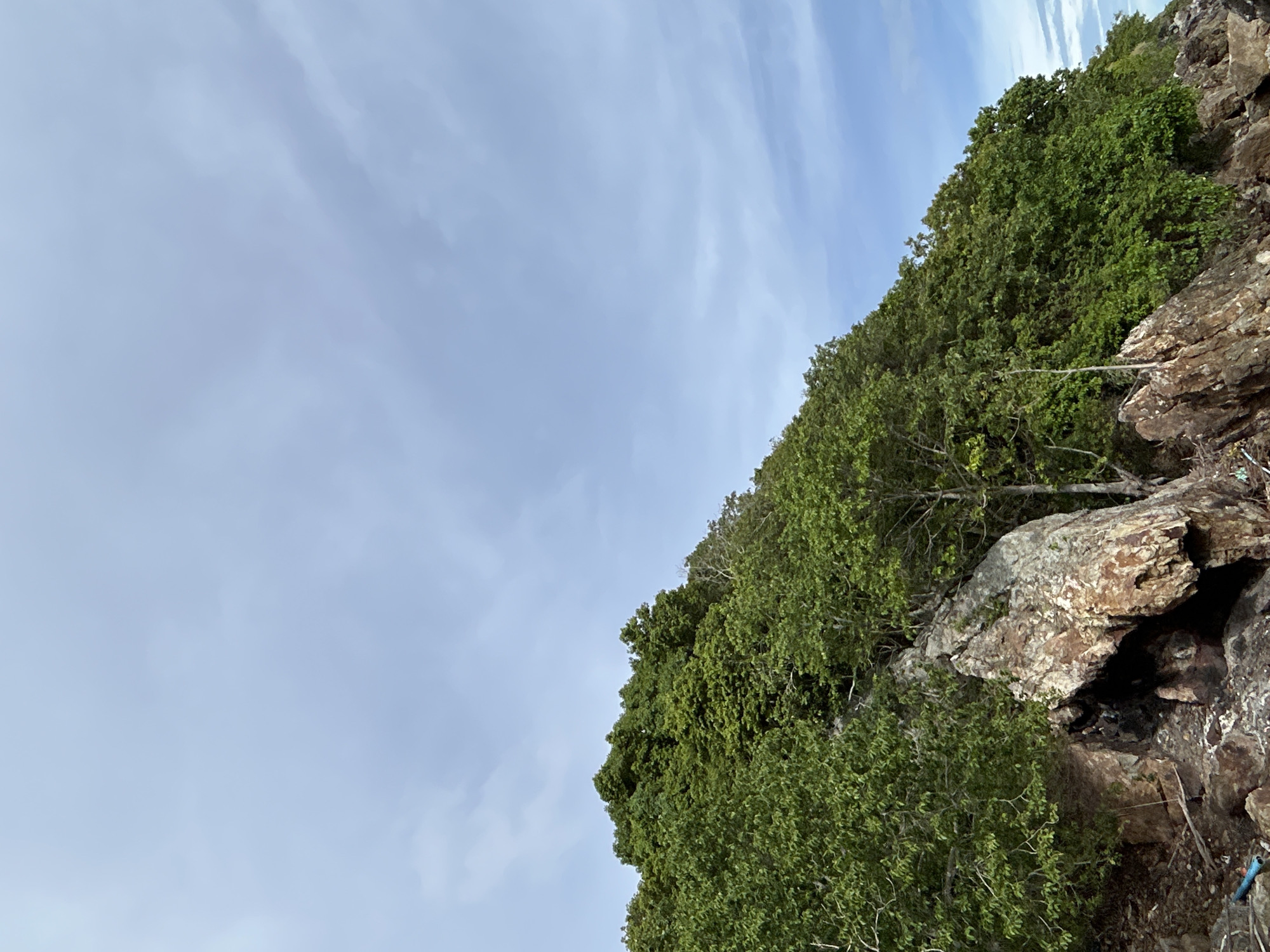 The image depicts a rocky hillside covered in lush green foliage, set against a backdrop of a pale blue sky with wispy clouds. The perspective is from a low angle, looking up at the dense vegetation that clings to the rocks. The rocks themselves are rough and textured, with variations in color from light brown to darker earthy tones. Some of the rocks appear weathered and fractured. The trees and bushes are vibrant green, indicating a healthy, possibly tropical, environment. Sunlight is filtering through the foliage, creating subtle variations in light and shadow. There are no people or distinct objects visible, only the natural elements of the hillside. The overall impression is one of a serene, natural landscape. The time of day appears to be daytime, and the weather seems clear, as suggested by the blue sky. The location context of Tambon Phru Nai, Thailand, implies a tropical or subtropical climate, which aligns with the dense vegetation and rocky terrain.