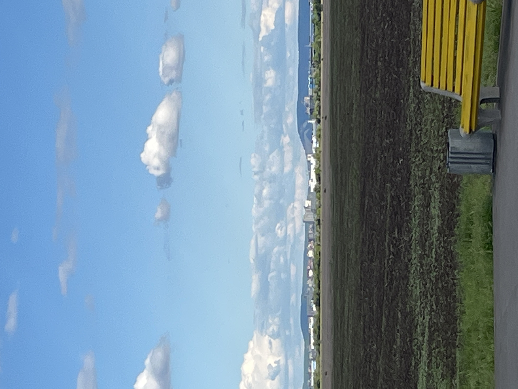 The image depicts a landscape scene under a blue sky with scattered clouds. A field of dark vegetation occupies the lower-right portion of the frame, bordered by a strip of green grass and a gray concrete path. A yellow metal barrier stands at the edge of the path. In the distance, a city skyline is visible along the horizon, partially obscured by a bank of clouds. The location appears to be a rural area near a city. The specific city location is unknown.