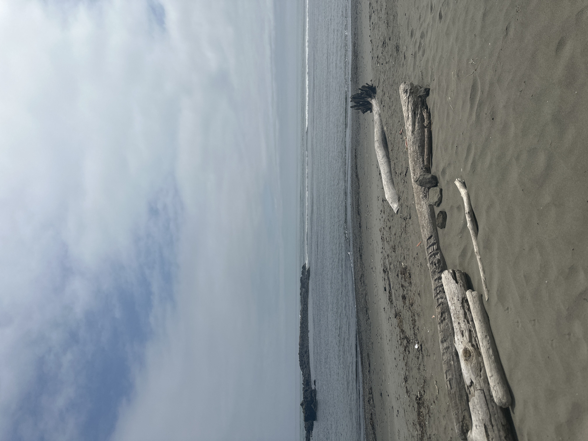 The image shows a beach scene with the Black Sea in the background. The sand is dark gray, and there are several pieces of driftwood scattered across it. In the distance, a rocky outcrop juts out into the water. The sky is overcast with light clouds. The scene is devoid of any people. The image is a wide shot, with the horizon line roughly in the middle of the frame. The overall impression is one of a quiet, somewhat desolate coastal landscape.