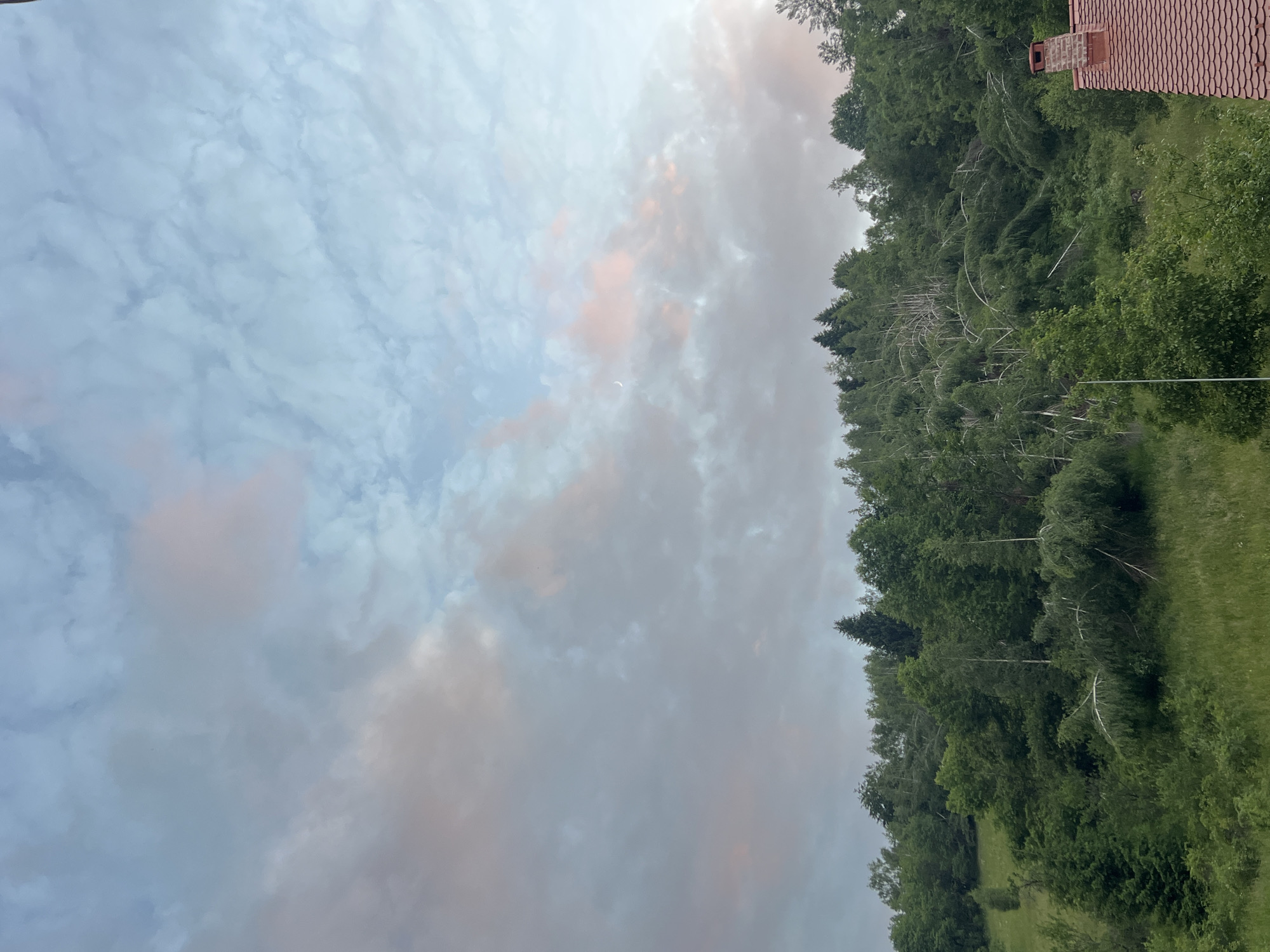 An outdoor, vertical, medium shot captures a wide view of a lush green hillside covered in dense trees, some of which appear to be bent or broken. The sky above is a pale blue with scattered white and pink clouds, and a crescent moon is visible in the upper right quadrant. The lower right corner of the image shows the tiled roof and chimney of a building.