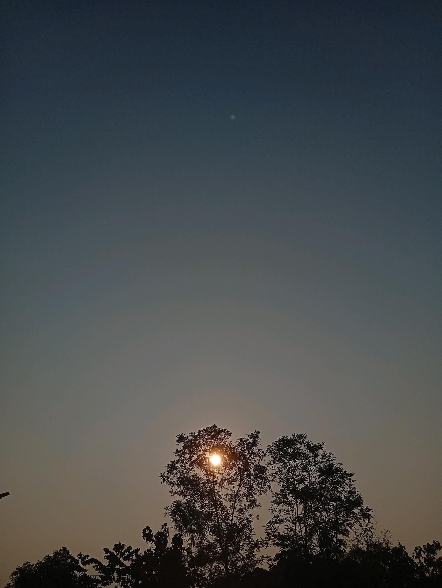 The image shows a serene sky at dusk or dawn over Teluk Kenidai, Indonesia. The sky transitions from a deep blue at the top to a lighter, yellowish-orange hue near the horizon. Two trees are silhouetted against this sky, with their branches and leaves forming dark shapes. The sun is partially obscured by the foliage of the tree on the left, casting a bright, circular glow. A faint, circular light, possibly a planet or a distant star, is visible higher in the sky. The foreground is filled with the dark silhouettes of more trees and vegetation. A slender pole-like object, possibly a street lamp, is visible on the far left edge of the image.