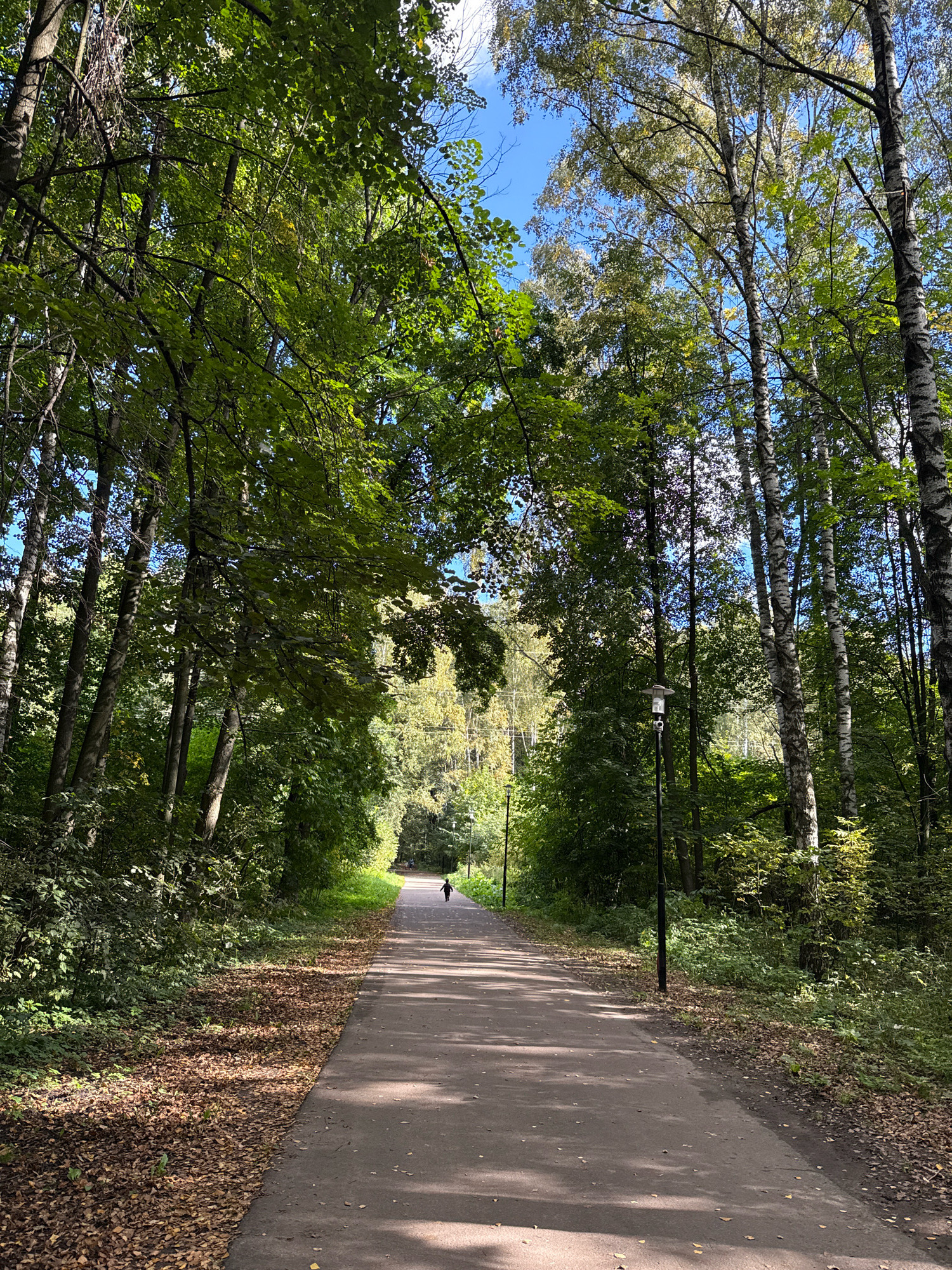 The image shows a paved pathway through a wooded area, likely in the city of Rusanovo, Russia. The pathway curves gently into the distance, bordered by lush green trees with some fallen leaves on the ground along the left side. The sun casts dappled shadows across the path. In the far distance, a solitary figure can be seen walking away from the camera. Several lampposts are visible along the right side of the pathway. The sky is visible through the tree canopy, appearing blue with some white clouds.