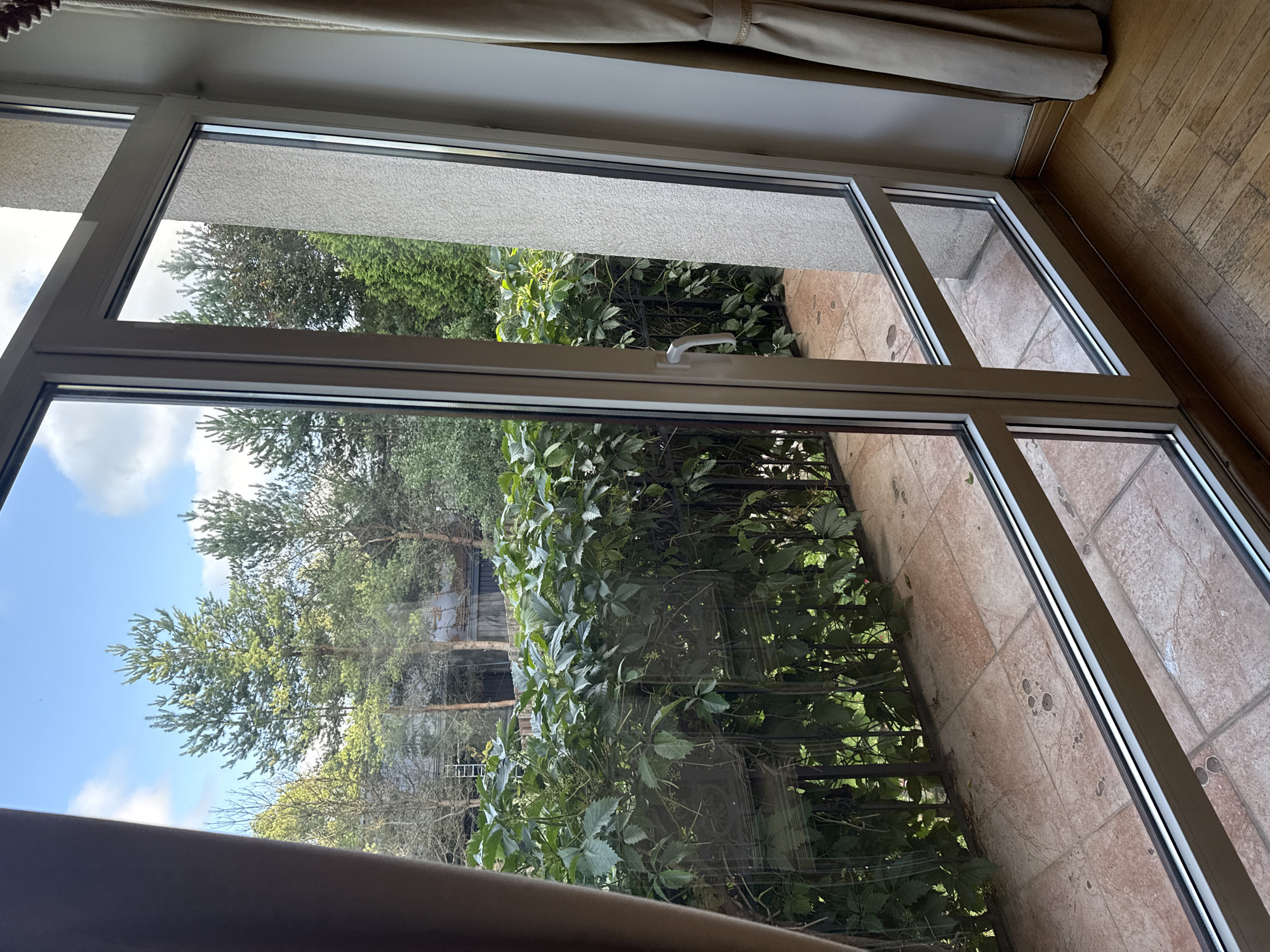 A light-filled scene shows a view through a large, multi-pane sliding glass door. The interior features a wooden floor and a light-colored curtain on the right. The exterior view reveals a balcony with terracotta tiles and a metal railing covered in dense green ivy. Beyond the balcony, several tall pine trees are visible against a blue sky with scattered white clouds. The background shows residential buildings with dark roofing and wooden fences. The location is specified as Yukki, Russia.
