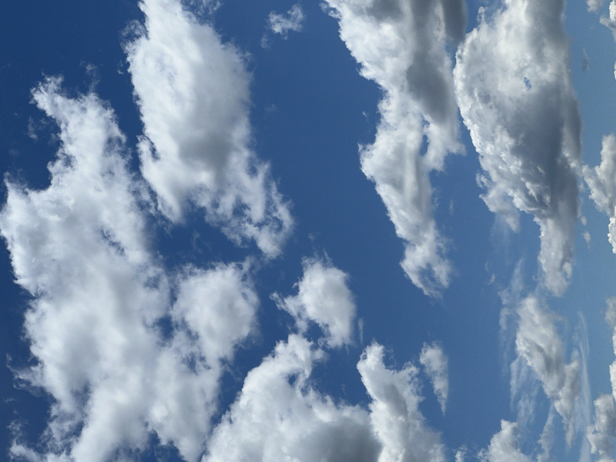 The image shows a blue sky with white cumulus clouds. The clouds are scattered across the sky, with varying densities and shapes. The sky appears to be taken during daytime. There is no evidence to suggest any location in Rudky, Ukraine.