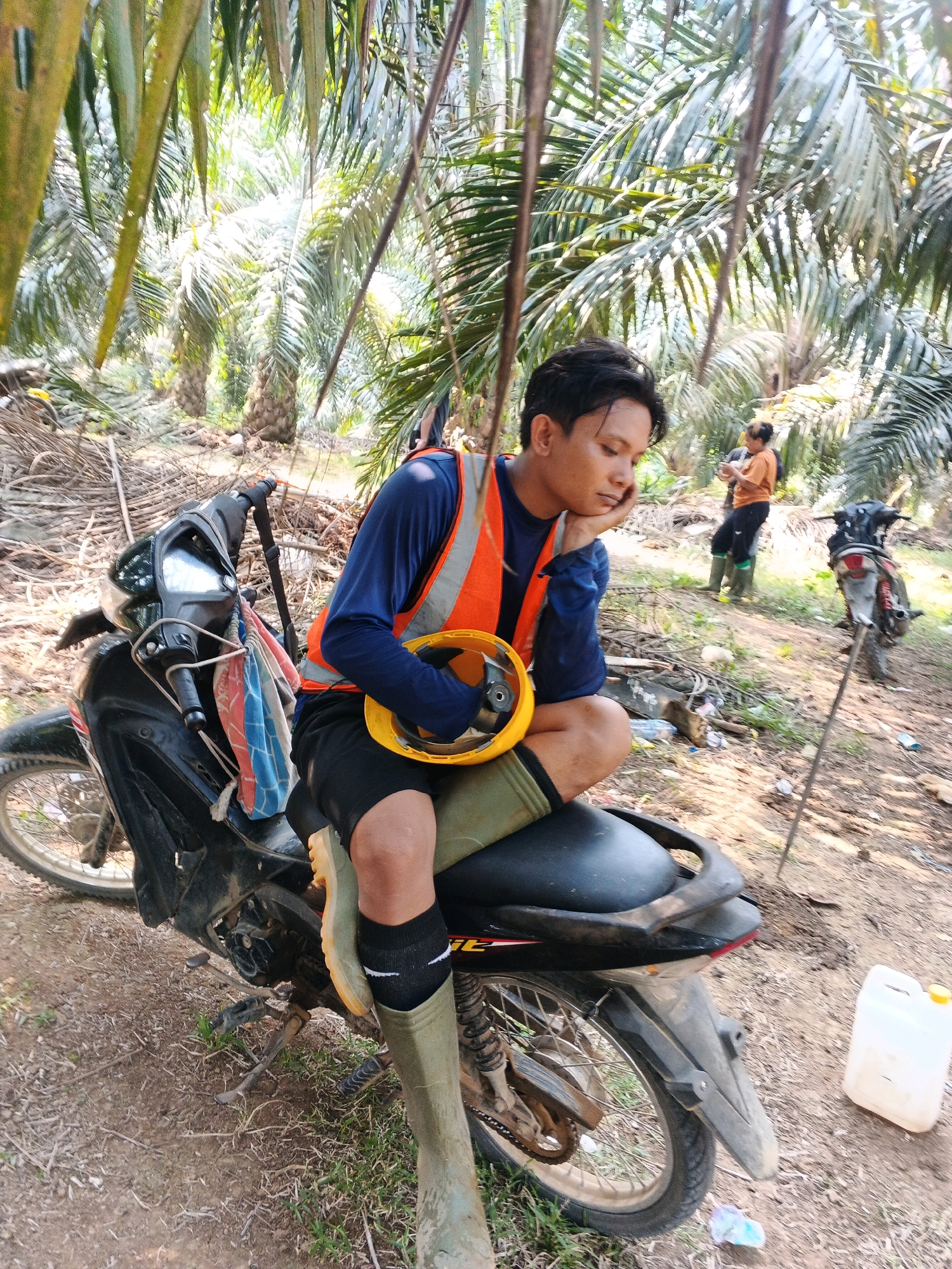 Memory