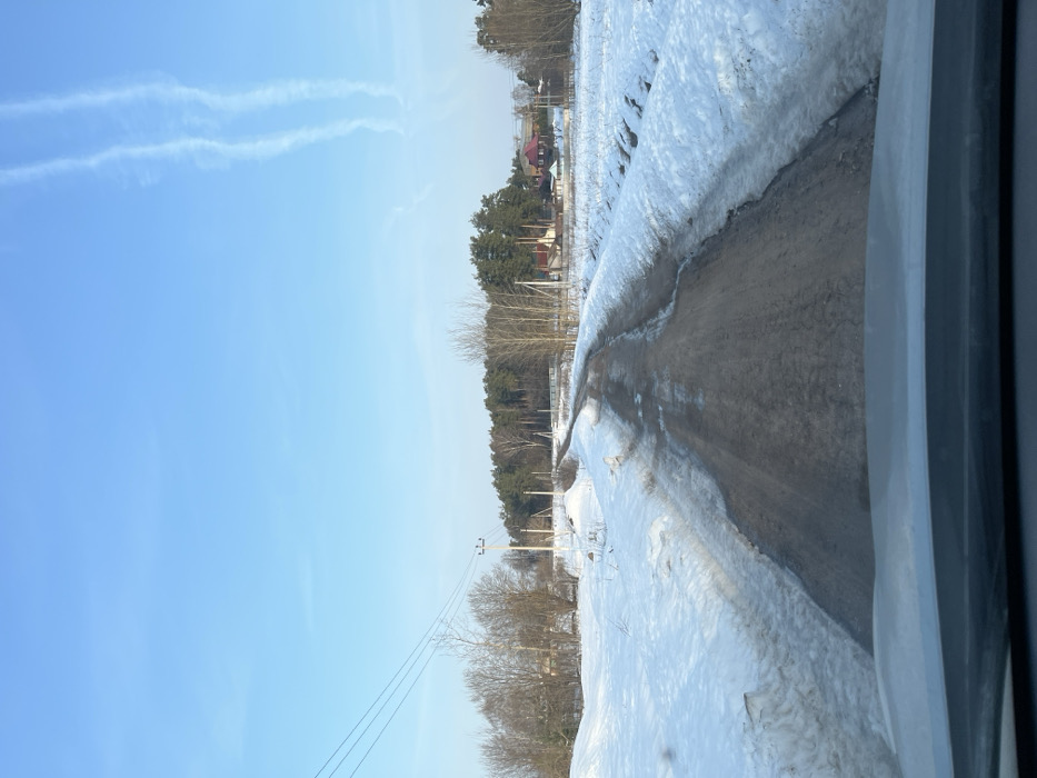 The image depicts a rural or semi-rural winter-to-spring transition scene in Voronino, Russia, viewed from the interior of a vehicle. A narrow, unpaved or heavily worn asphalt road, dark with moisture and bare patches, extends centrally from the foreground into the mid-distance, curving slightly to the left. The road is flanked on both sides by fields covered in snow, which appears partially melted and dirty along the edges of the road.
To the left of the road, utility poles with multiple overhead power lines are visible against the sky, positioned amongst bare deciduous trees and some distant evergreens. Scattered residential structures, partially obscured by trees, are visible in the background on the left.
To the right of the road, fields of snow transition into a dense stand of evergreen trees, predominantly pines, behind which several houses with varying roof colors (red, dark, light) and white fences are identifiable.
The sky is a clear, light blue with two distinct, parallel white contrails trailing horizontally across the upper right quadrant. No individuals or active interactions are visible in the scene. The overall lighting suggests daytime conditions.