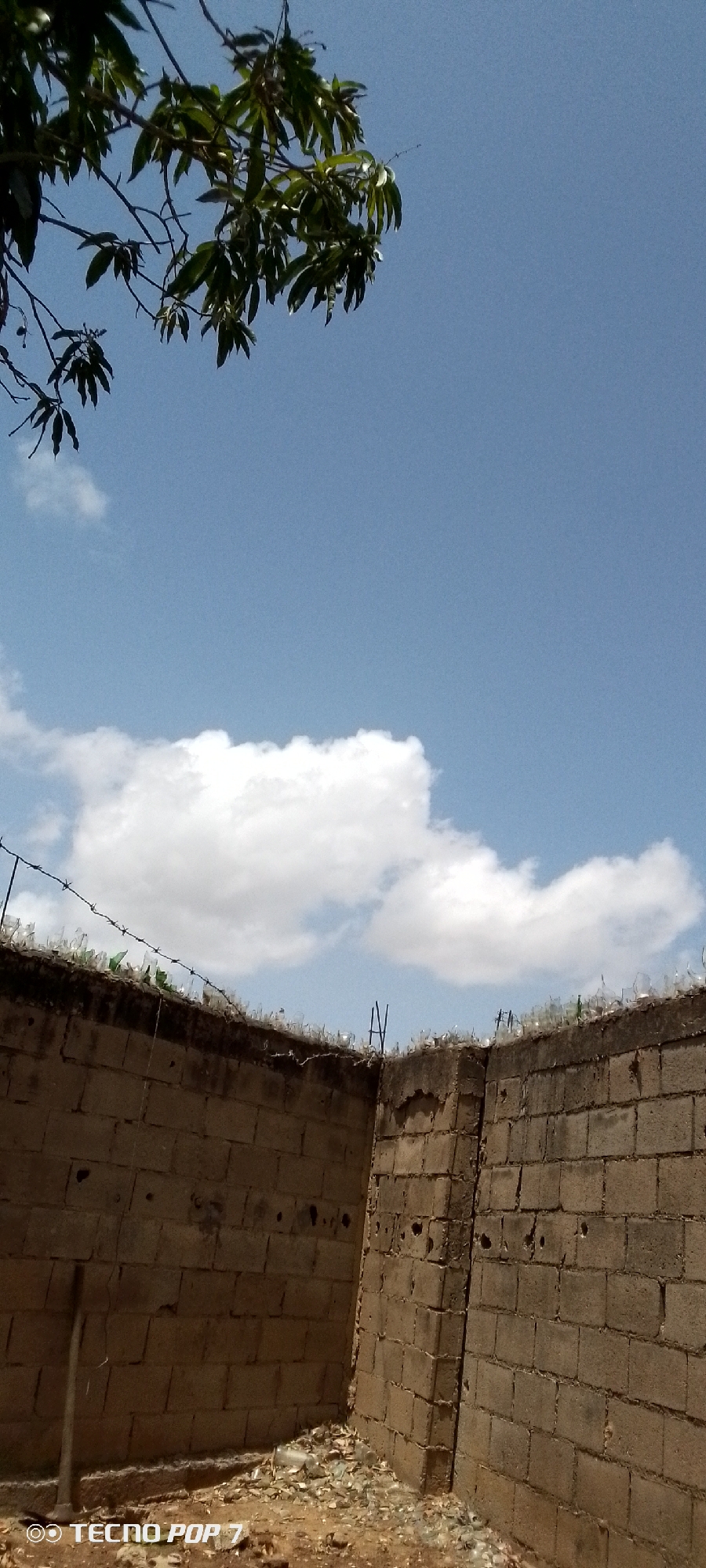 The image shows a corner formed by two concrete block walls topped with broken glass and barbed wire. The walls appear weathered and stained. A patch of sky with scattered clouds is visible above the walls. A tree branch with green leaves is present in the upper left corner. A tool handle is visible on the ground next to the walls. The location is in Altagracia, Venezuela.