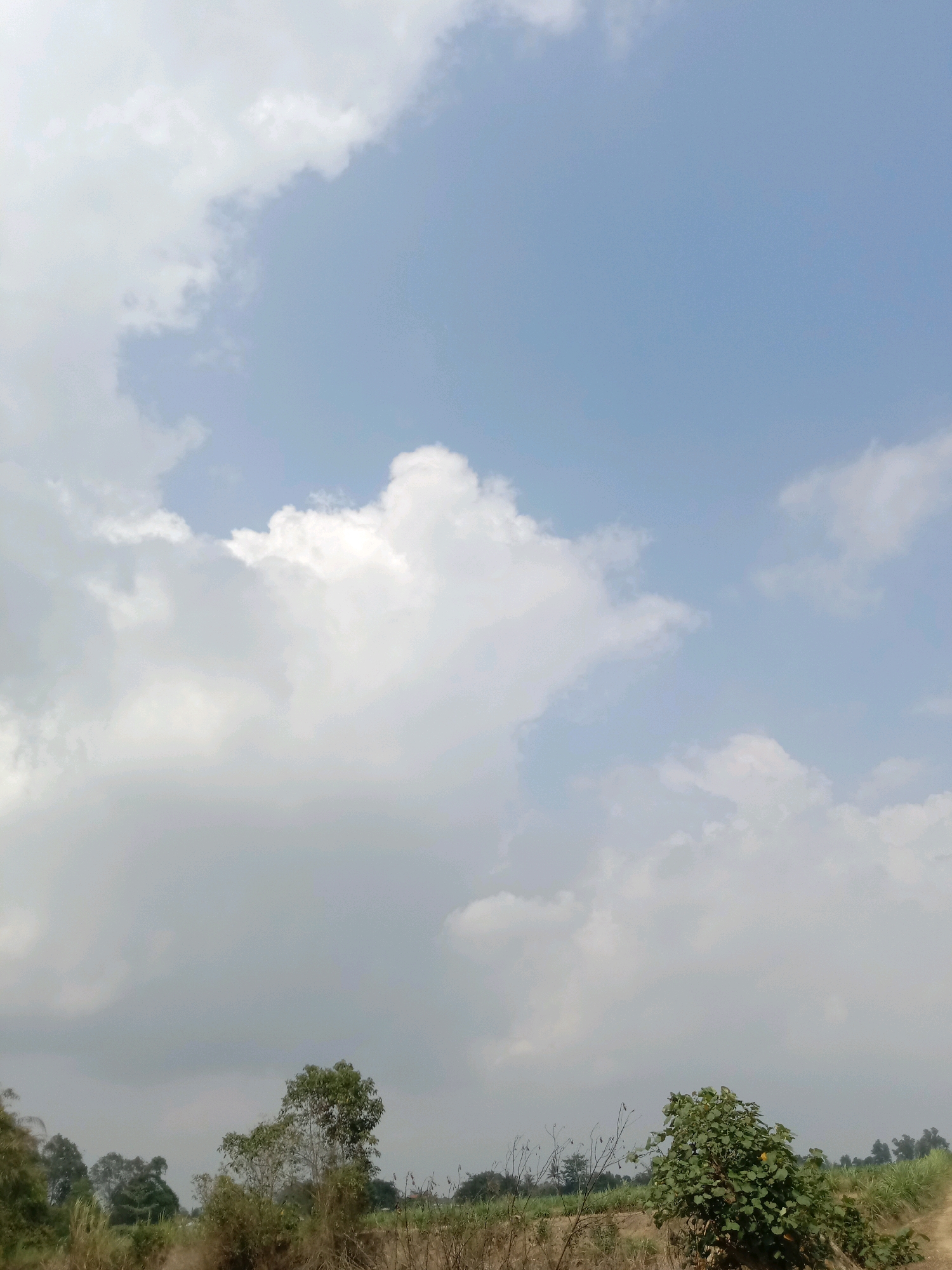This is a photograph of a cloudy sky over a rural landscape. The sky is a light blue with large, white cumulus clouds scattered throughout. In the foreground, there is a field with dry grass and some scattered trees. The trees are a mix of deciduous and evergreen. The overall impression is one of a calm and peaceful day. The location is identified as Utama Jaya Mataram, Indonesia, a region characterized by its agricultural land and proximity to natural landscapes. No people or specific actions are visible in the image.