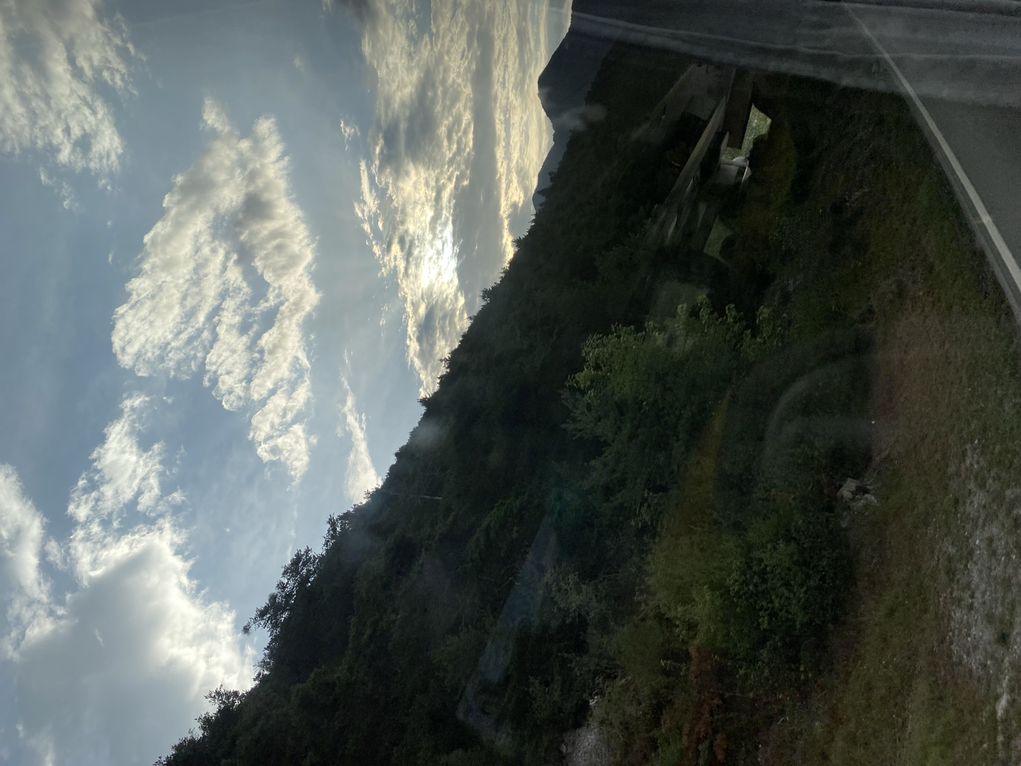 A scenic view from a vehicle shows a lush, tree-covered mountainside under a cloudy sky with patches of sunlight breaking through. The slope is densely wooded with various shades of green foliage. In the distance, the peaks of other mountains are visible. A road or pathway runs along the bottom right of the frame, with a reflective surface, possibly a window, distorting the view slightly on the right side. Some scattered rocks and vegetation are visible on the lower slopes. The sun is setting or rising, casting a soft light and creating a dramatic sky with wispy clouds. There are no people or specific landmarks identifiable within the scene.