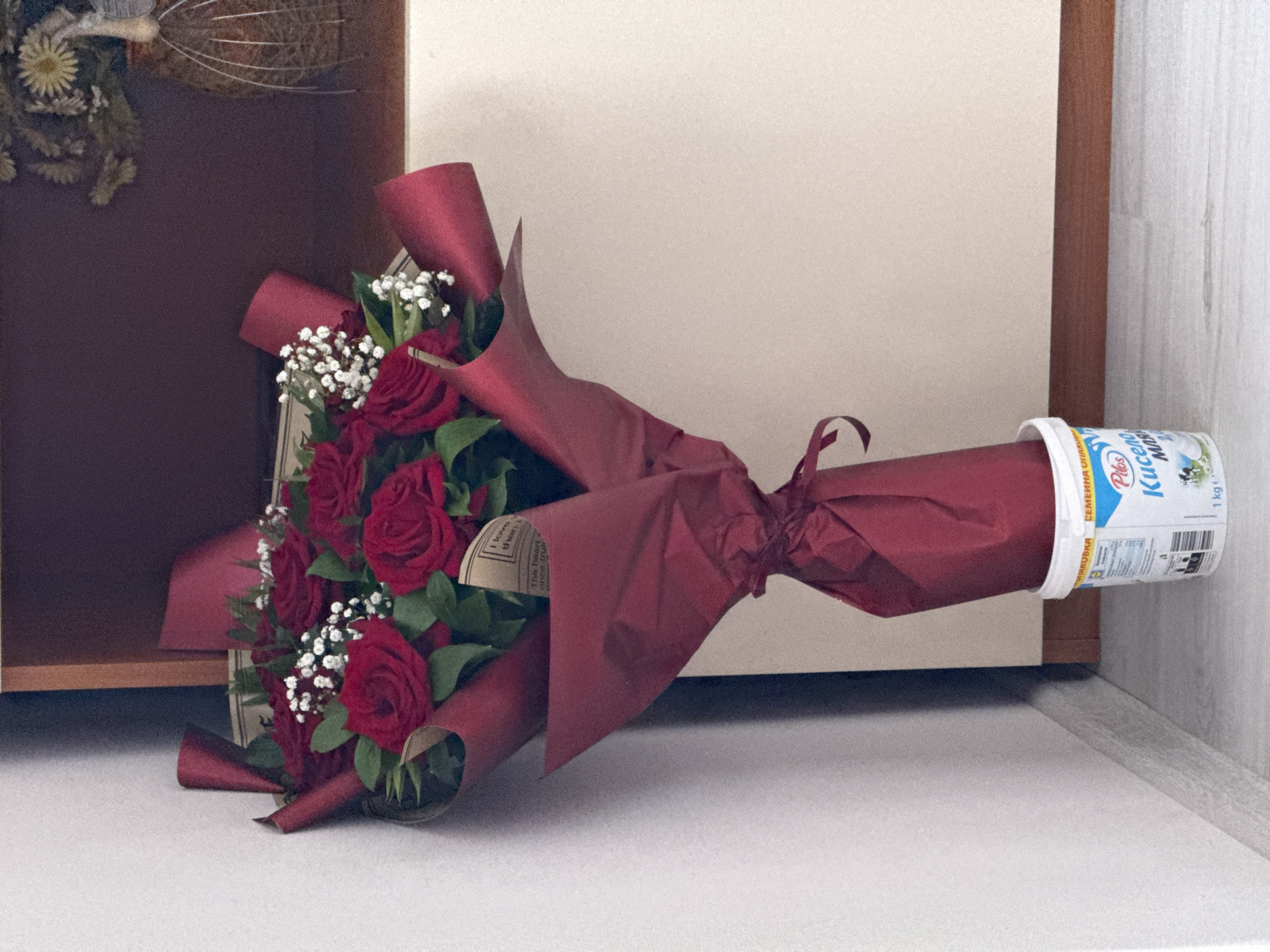 This image captures a close-up, horizontal view of a bouquet of red roses resting on a light-colored surface indoors in Varna, Bulgaria. The bouquet is lavishly wrapped in dark red paper and tied with a matching ribbon. Sprinkled among the deep red roses are delicate white baby's breath flowers and green foliage.
The stem end of the bouquet is placed inside a white plastic container, which functions as a makeshift vase. Visible text on the container, in Cyrillic, indicates it's a "Pilos" brand product, likely "Кисело мляко" (Sour Milk), labeled as "Семейна" (Family) size, and weighing "1 kg e". Another phrase "НА ОПАКОВКАТА" (ON THE PACKAGING) is also partially visible.
The background on the left features a dark brown or maroon shelf interior, housing what appears to be dried floral arrangements or decorative elements, including a light-colored dried flower. To the right, a light beige wall section and a thin wooden frame border a white, vertically textured wall or panel. The scene is lit with soft, ambient indoor lighting, suggesting no specific time of day beyond being indoors. A small, light-colored paper tag, partially visible within the bouquet's wrapping, contains some indistinct English text, possibly including phrases like "I love th..." and "The heart...". The overall impression is one of a freshly presented, thoughtful gift, temporarily arranged.