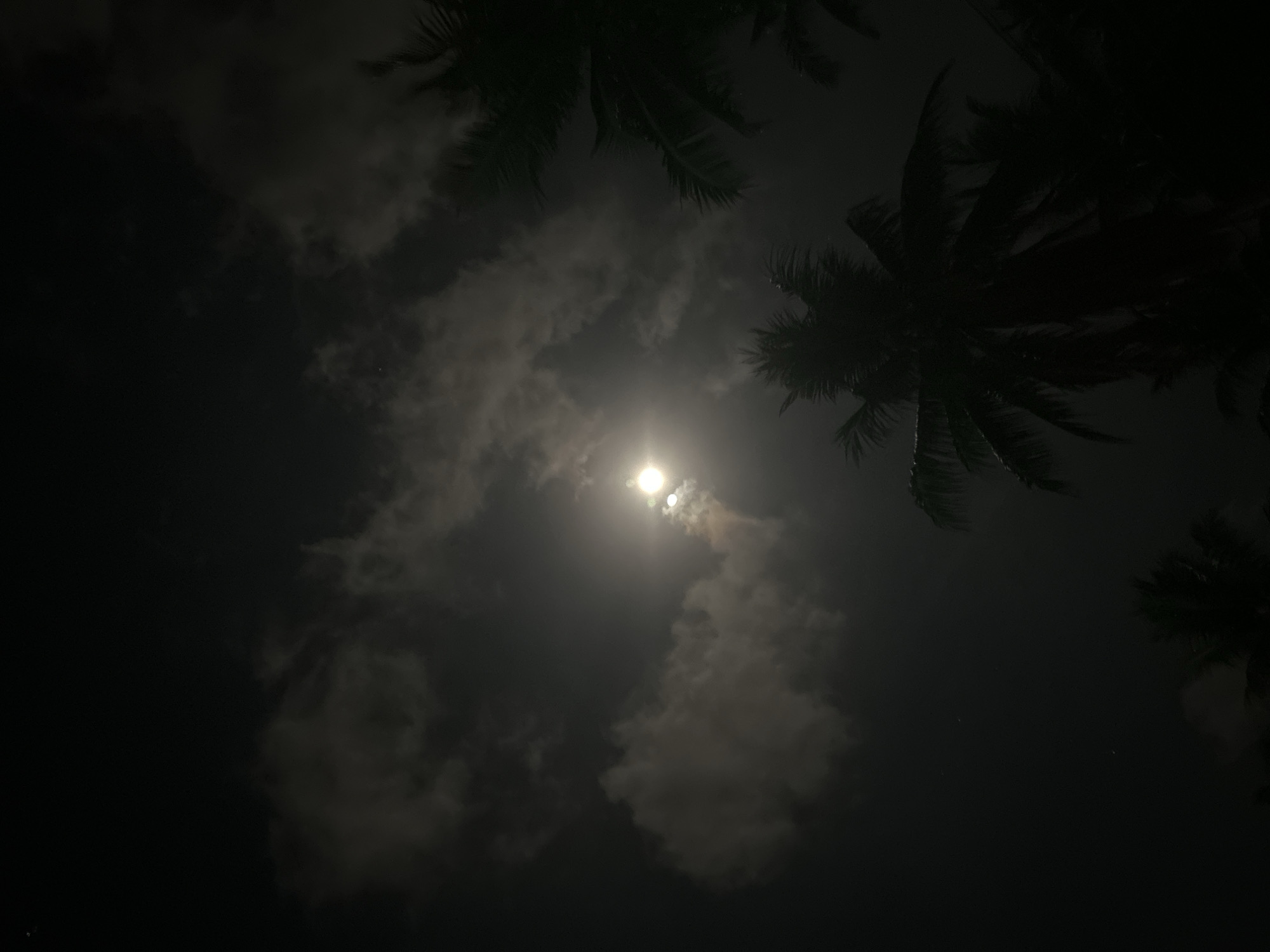 The image captures a serene night sky scene, likely in Baan Harn, Thailand, as suggested by the prominent palm tree silhouettes. The most striking feature is a bright moon, appearing full or nearly full, which serves as the primary light source. The moonlight is diffused and partially obscured by scattered clouds, creating a glowing effect around the lunar disk. Some of the clouds are directly illuminated by the moon, while others remain darker against the night sky.
Several dark silhouettes of palm tree fronds frame the top and right edges of the composition, indicating that the photo was taken looking up through the canopy of trees. The leaves are sharply defined against the lighter sky and clouds, emphasizing the darkness of the night. The sky itself is a deep dark blue or black, characteristic of nighttime.
There are no people or specific activities taking place; the image focuses on the natural elements of the night sky and tropical foliage. The mood is peaceful and tranquil, highlighting the natural beauty of a moonlit night amidst palm trees. No text is visible within the image.