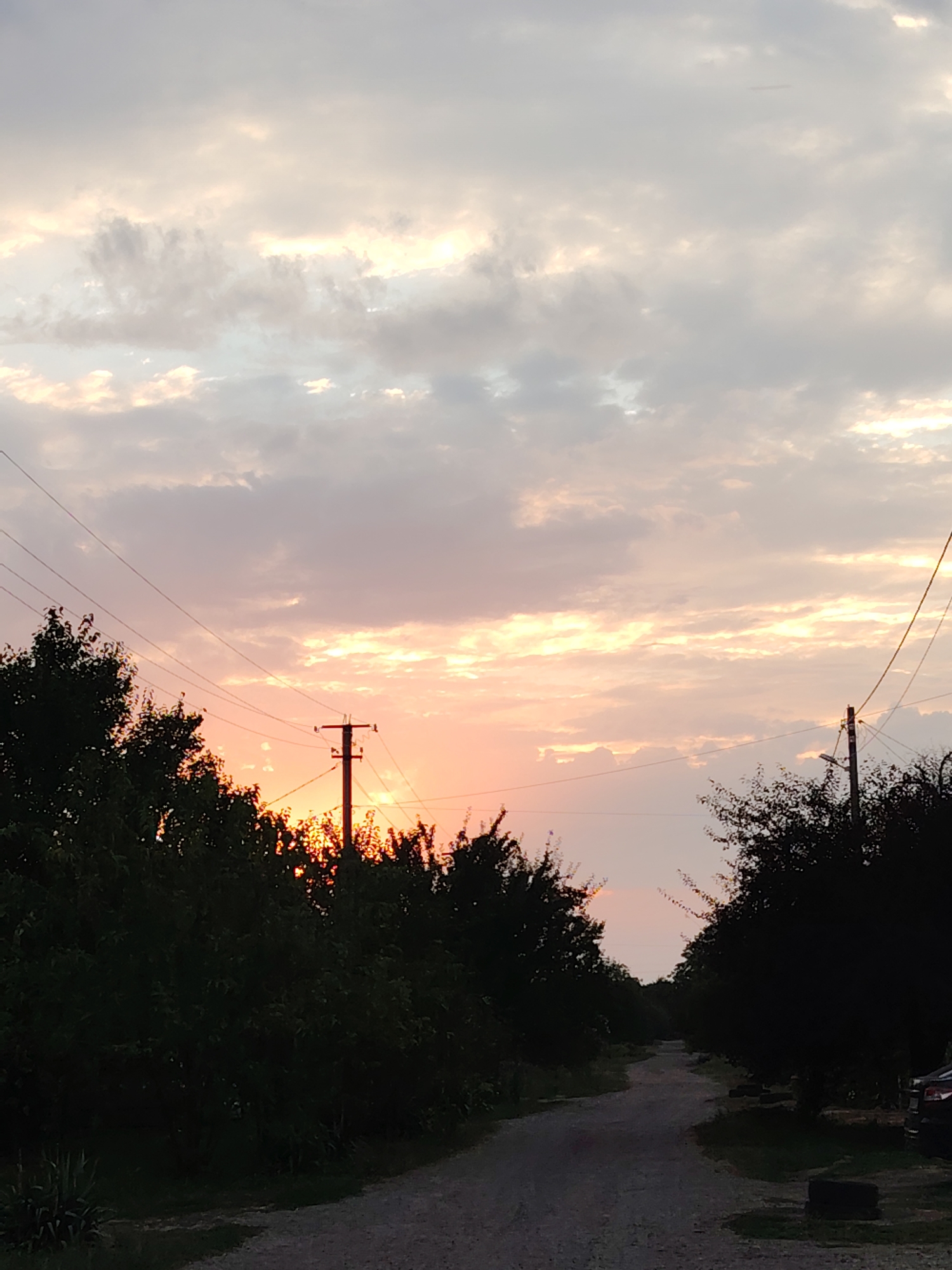 The image depicts a rural scene at dusk in Volnoye, Russia. A dirt road curves through dense, dark foliage on either side, leading towards a hazy horizon where the setting sun casts a warm orange glow. The sky is filled with scattered clouds, tinged with pink and yellow hues from the fading sunlight. A single utility pole with electrical wires stretches across the frame, silhouetted against the vibrant sky. The overall impression is one of peaceful, natural beauty at the end of the day.