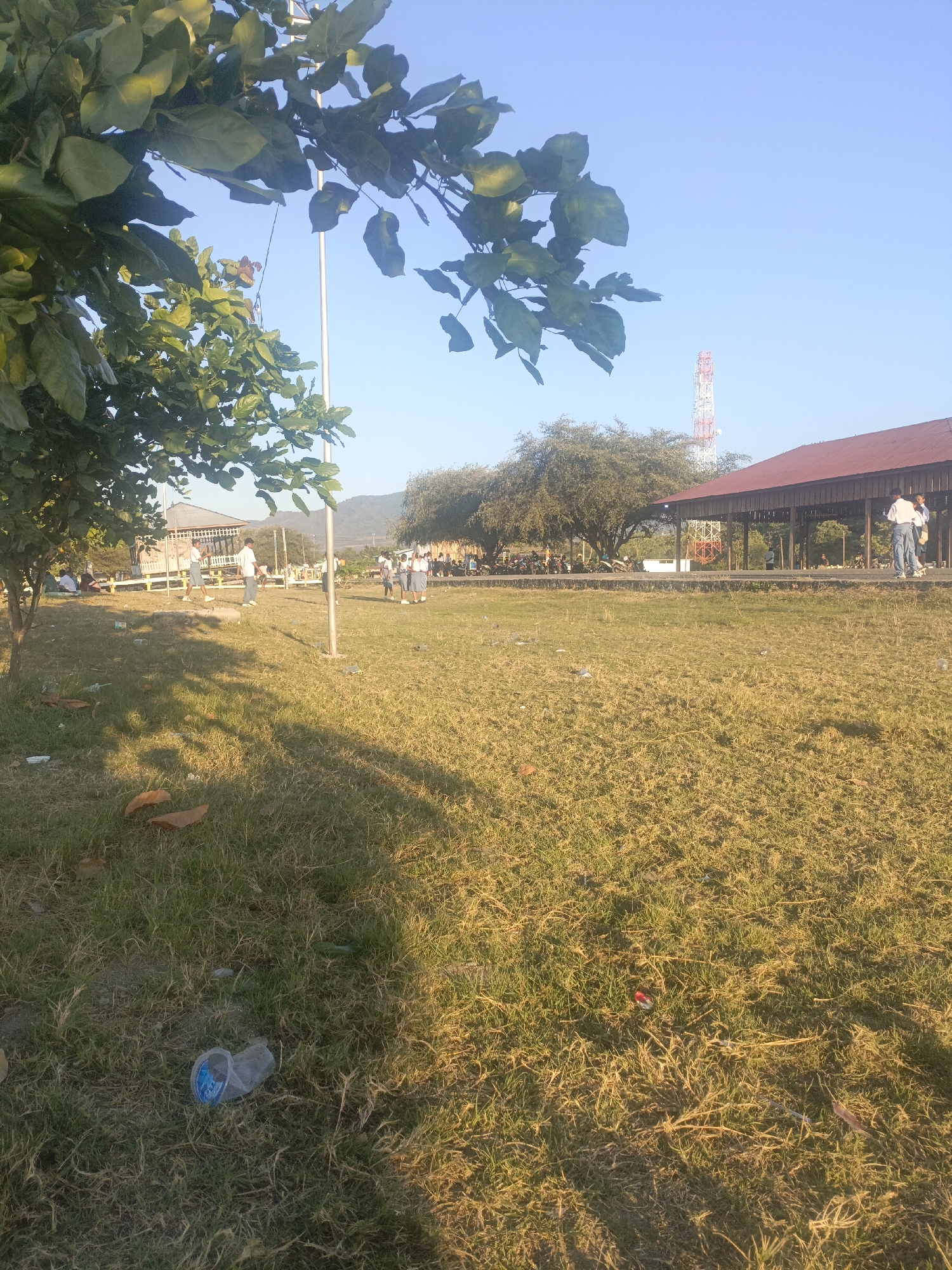 In Lewoleba, Indonesia, an outdoor scene unfolds under a clear blue sky. The foreground is dominated by dry, yellowed grass interspersed with sparse green patches and fallen leaves, with a discarded plastic cup visible in the lower left. A large tree with green leaves casts a shadow across the grassy area. In the middle ground, several people are scattered across the field. Some appear to be students in uniform, with a group walking together. Behind them, a covered pavilion with a reddish-brown roof is visible, with more individuals gathered underneath. A tall, red and white communication tower stands in the background, to the left of the pavilion. Hills are visible in the distance. The overall impression is one of a public space during daylight hours.