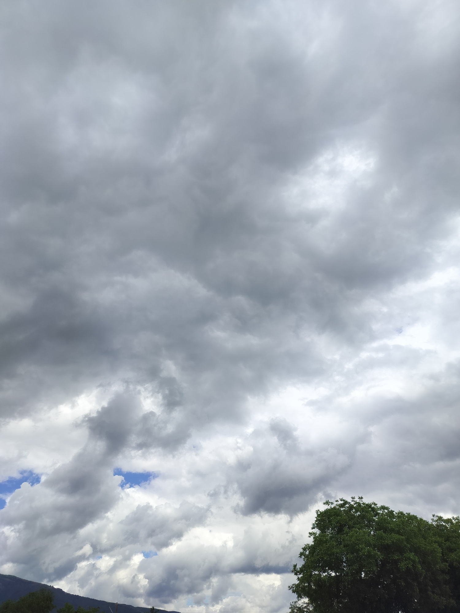 The image depicts a cloudy sky over Tarnicheni, Bulgaria, with glimpses of blue sky visible through breaks in the clouds. A lush green tree occupies the lower right portion of the frame. The overall impression is of an overcast day with dramatic cloud formations.