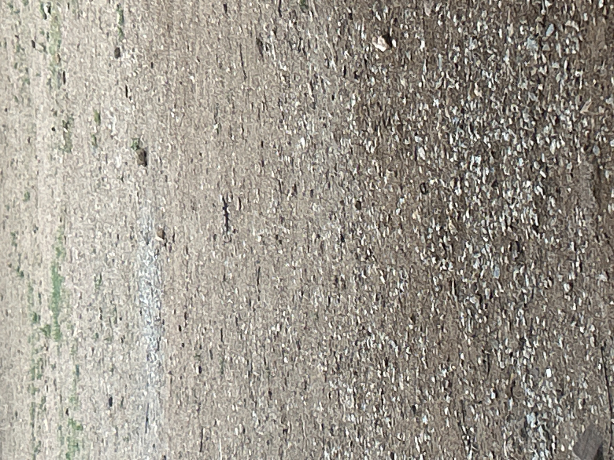 The image depicts a ground-level view of a sparsely vegetated, rocky terrain. The ground is composed of small stones and dirt, with patches of dry grass and weeds scattered throughout. The lighting suggests it is daytime, with shadows indicating the sun's position. The scene appears to be an outdoor, undeveloped area, possibly on the outskirts of a town or city. No specific landmarks or structures are visible to indicate the exact location within Santa Ana, Venezuela. The image is devoid of any human presence or activity.
