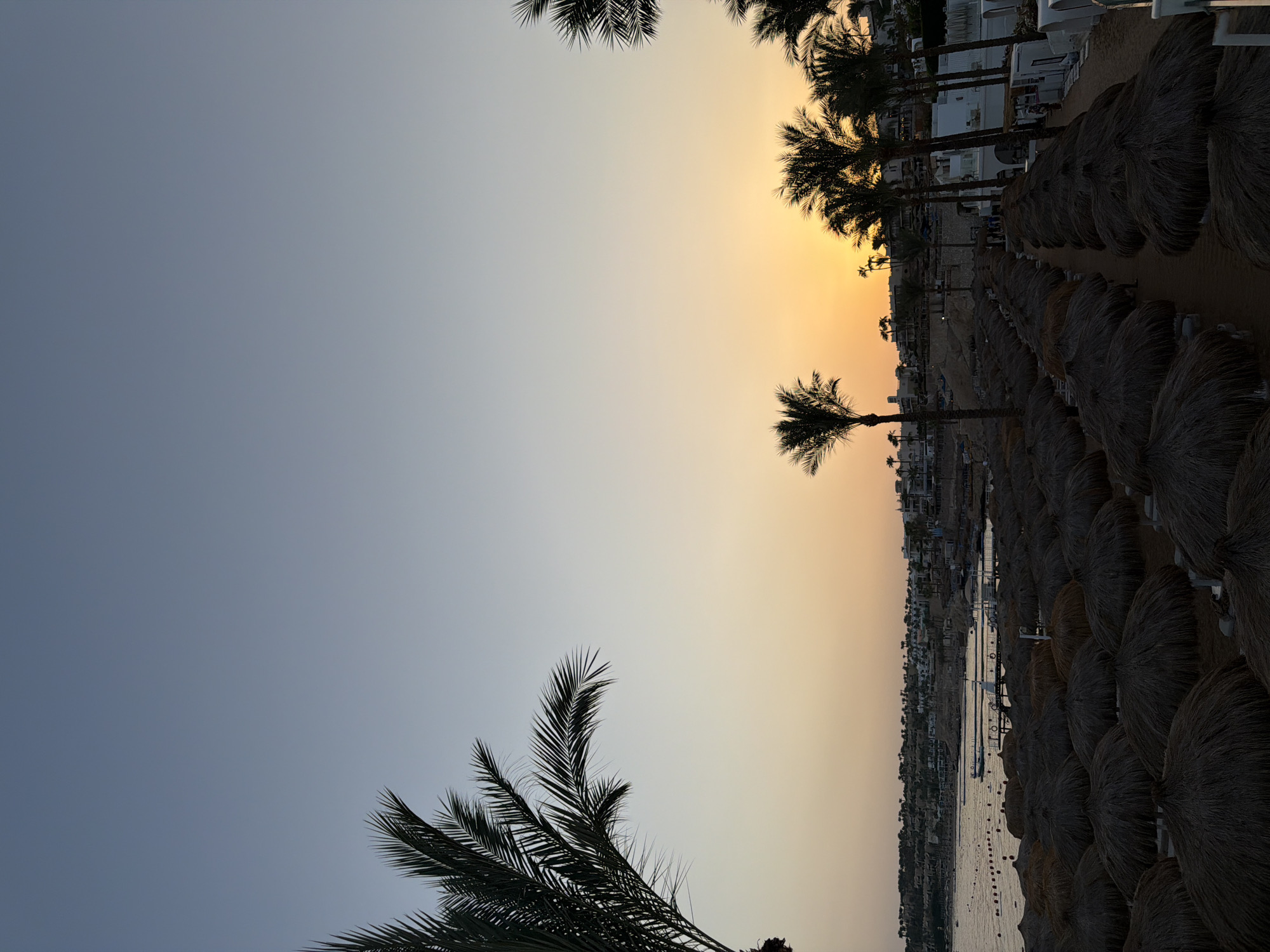 The image depicts a sunset scene at a beach resort in Sharm El Sheikh, Egypt. The foreground is dominated by rows of thatched umbrellas, casting long shadows on the sand. Beyond the umbrellas, a body of water, likely the Red Sea, is visible, with a pier extending into it and several boats moored. In the background, a resort town with white buildings and palm trees lines the coast, nestled against hills. The sky transitions from a clear, pale blue at the top to warm orange and yellow hues near the horizon, indicating the sun is setting. Several palm trees are silhouetted against the sky, with one large palm frond in the upper left corner partially obscuring the sky. The scene conveys a sense of tranquility and the end of a day at a tropical destination.