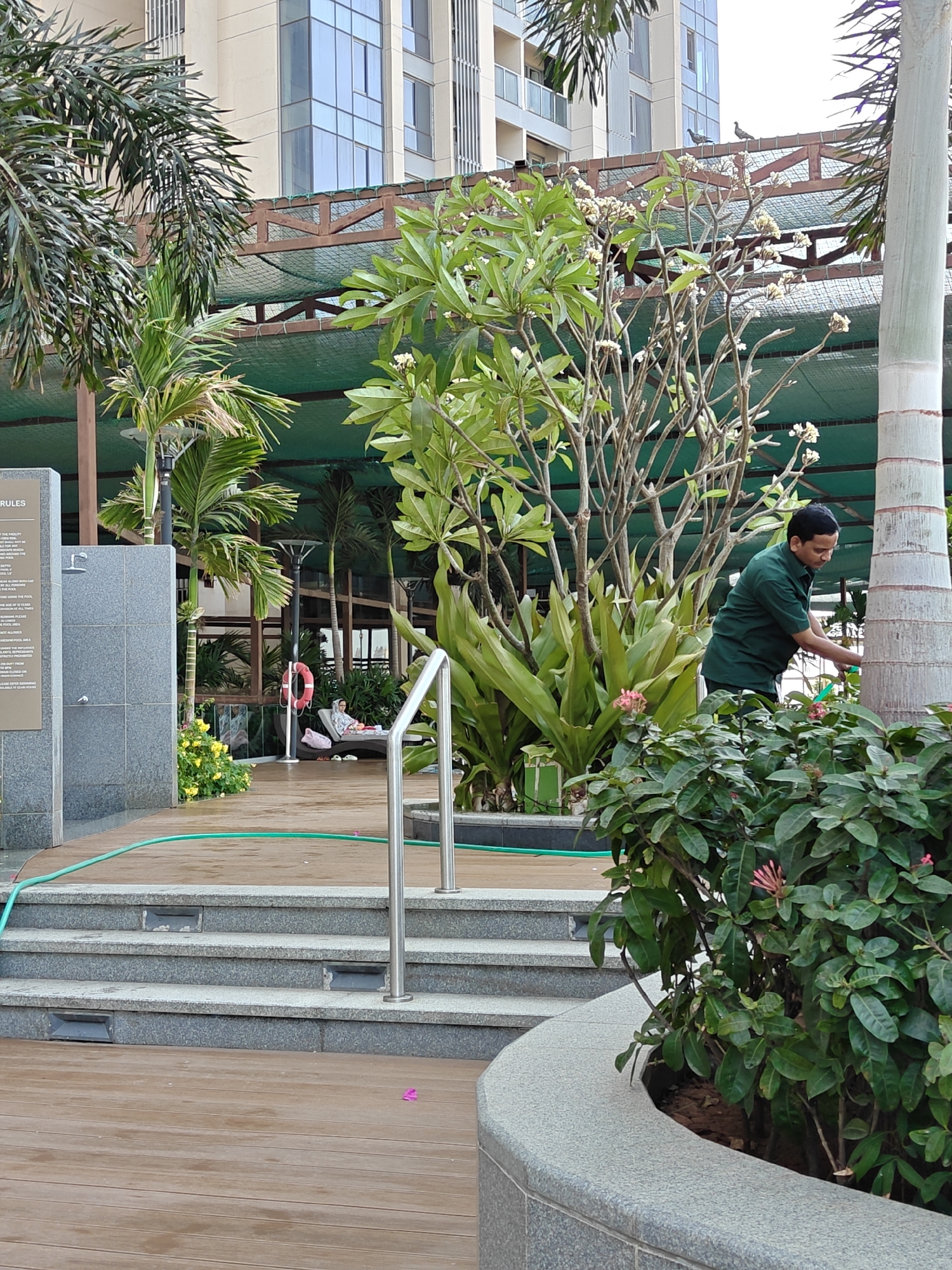 The image displays a landscaped outdoor area within a modern residential or commercial complex in Mumbai, India. In the right midground, a man wearing a dark green short-sleeved shirt is tending to vegetation, specifically appearing to prune or maintain a shrub next to a large palm tree trunk. The area features extensive tropical flora, including several palm trees, plumeria trees with white flowers, and various green shrubs, some bearing pink or red blossoms.
The ground consists of multi-level light brown wooden decking and grey granite steps with integrated dark rectangular lights. Stainless steel railings ascend the steps. A bright green hose runs across the wooden decking. To the left, a grey granite pillar displays a sign with the word "RULES" partially visible at the top. Further left, beyond the steps, a red and white lifebuoy is mounted near a dark brown lounge chair on which a person, partially obscured, is reclining. Yellow flowers are visible in a planter nearby.
Overhead, a structure with wooden beams supports a dark green mesh or net covering, providing shade. In the background, contemporary high-rise buildings with numerous glass windows and balconies are visible. Two pigeons are perched on a distant rooftop structure. The sky is bright, indicating daylight conditions. The scene suggests a well-maintained recreational or common area.