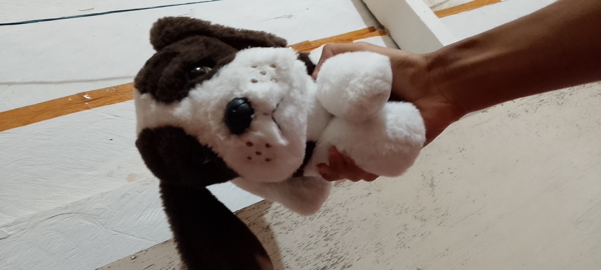 A plush toy dog's head, predominantly white with brown markings around its ears and eyes, is held by a person's hand, which is brown-skinned. The toy has black button eyes and a black nose with embroidered dots representing its muzzle. The background consists of a white textured wall and a wooden surface. The image appears to have been taken indoors in Singkawang, Indonesia.