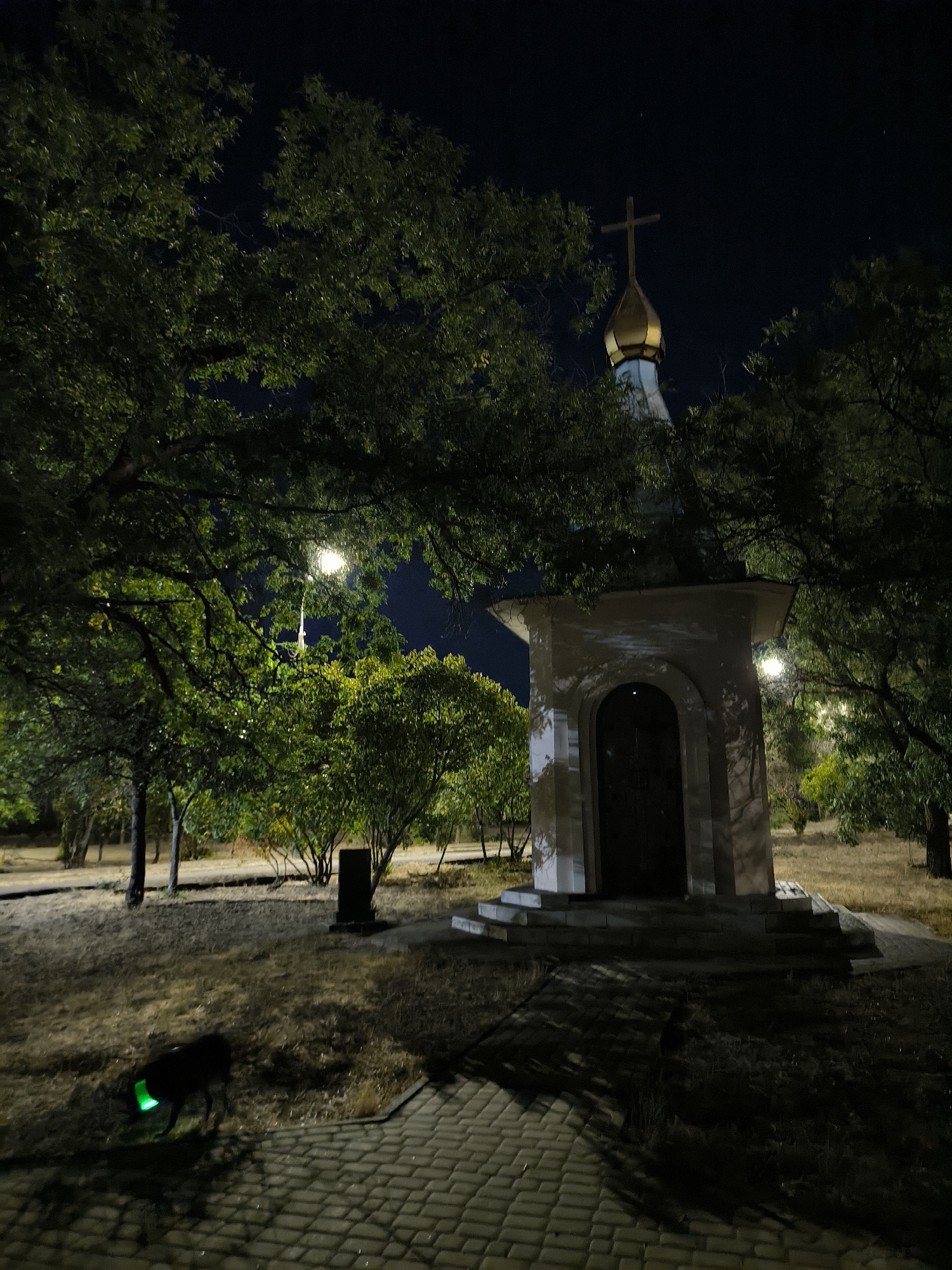 The image depicts a small, ornate chapel with a golden dome and a cross, illuminated by artificial light at night. The chapel is situated in a park-like setting with mature trees and dry grass. In the foreground, a dark-colored dog with a bright green collar is visible, grazing on the dry grass. The ground is paved with interlocking bricks, and shadows from the trees are cast across the scene. The background shows more trees and the dark night sky. Based on the architectural style of the chapel, the presence of trees, and the overall ambiance, this location is likely the Memorial Complex "Heroes of the Heavenly Hundred" or a similar memorial site in Mykolaiv, Ukraine, which often feature chapels and green spaces.