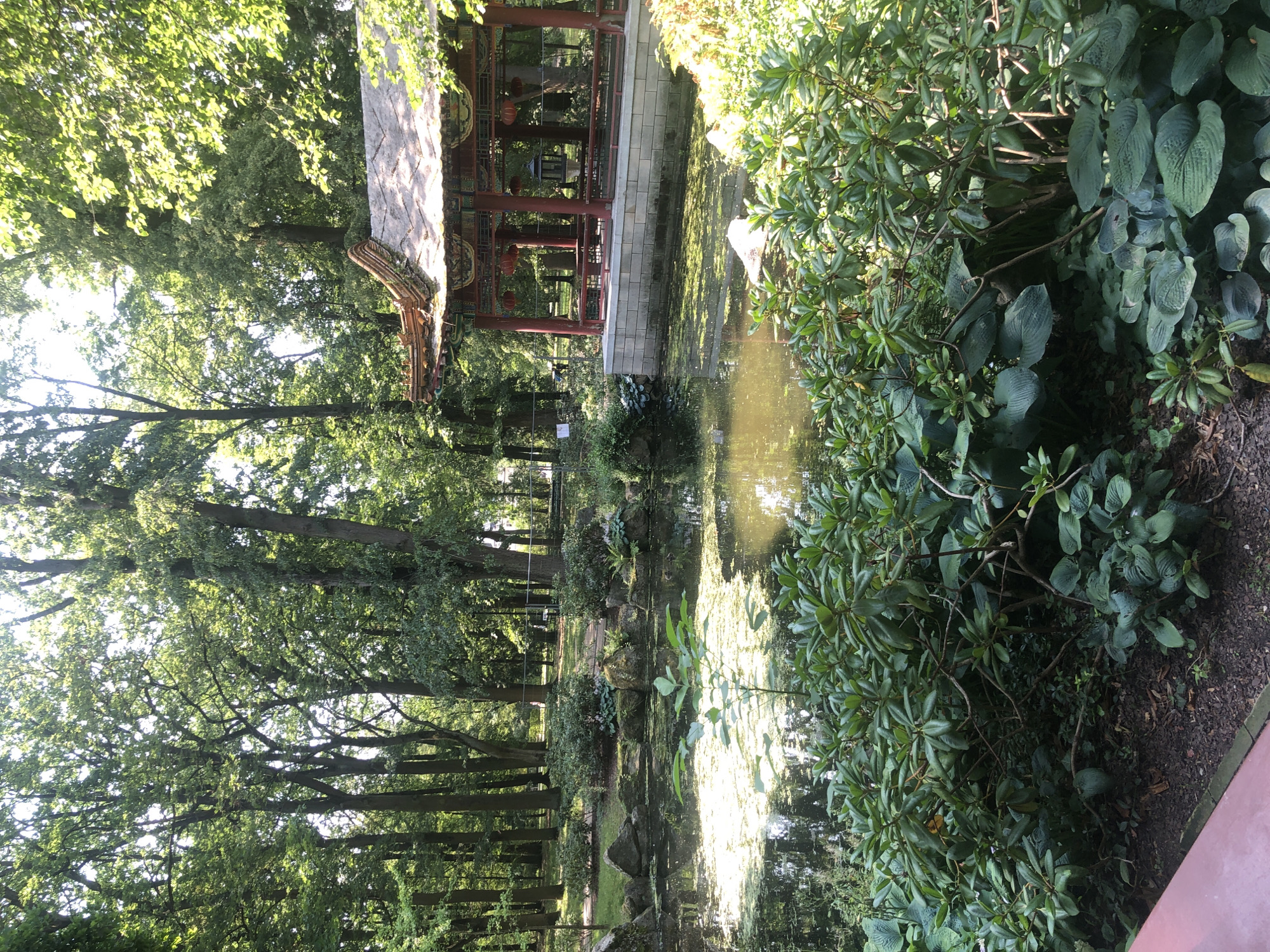 The image depicts a serene park scene with a pond and a traditional East Asian-style pavilion. The pavilion, with its ornate roof and red pillars, is situated on a raised platform by the water's edge. The pond is partially covered with aquatic plants, and rocks are strategically placed along its banks, creating a naturalistic landscape. Lush green foliage, including bushes and trees, surrounds the pond and pavilion, suggesting a well-maintained garden. The sunlight filters through the leaves, casting dappled shadows and highlighting the vibrant greenery. In the background, tall trees form a dense canopy, with a hint of a fence visible in the distance. A small, light-colored object, possibly a statue or a bird, is partially submerged in the pond near the pavilion. The overall atmosphere is tranquil and picturesque, characteristic of a public garden or botanical park. This scene is located in the Japanese Garden within the Warsaw University of Life Sciences Botanical Garden in Warsaw, Poland.