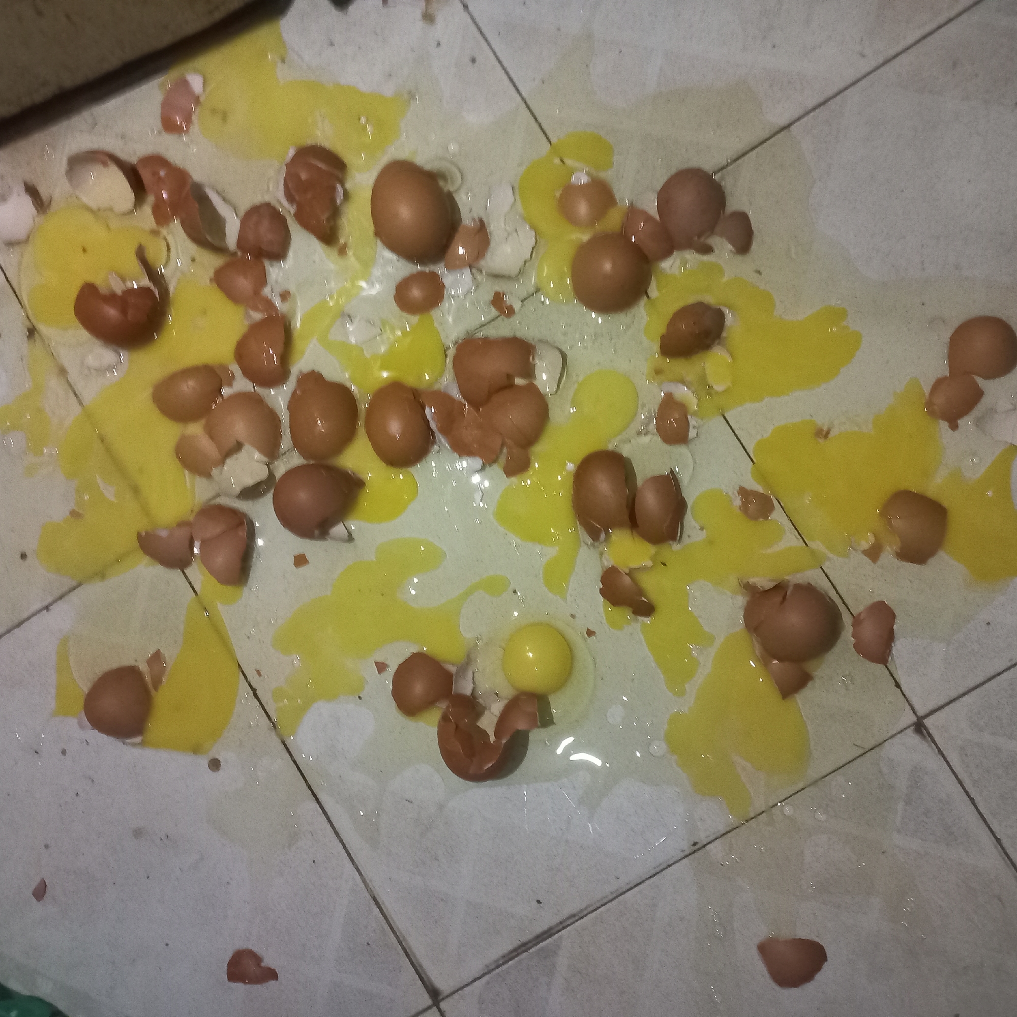 An overhead view of a tiled floor in an unknown location shows a mess of broken eggs. Eggshells are scattered across the floor, some intact and some in pieces, with pools and splatters of yellow yolk and translucent egg white spreading over the light-colored tiles. Several whole eggs, some with cracked shells, are also visible amidst the debris. The scene suggests an accidental dropping or breaking of multiple eggs.