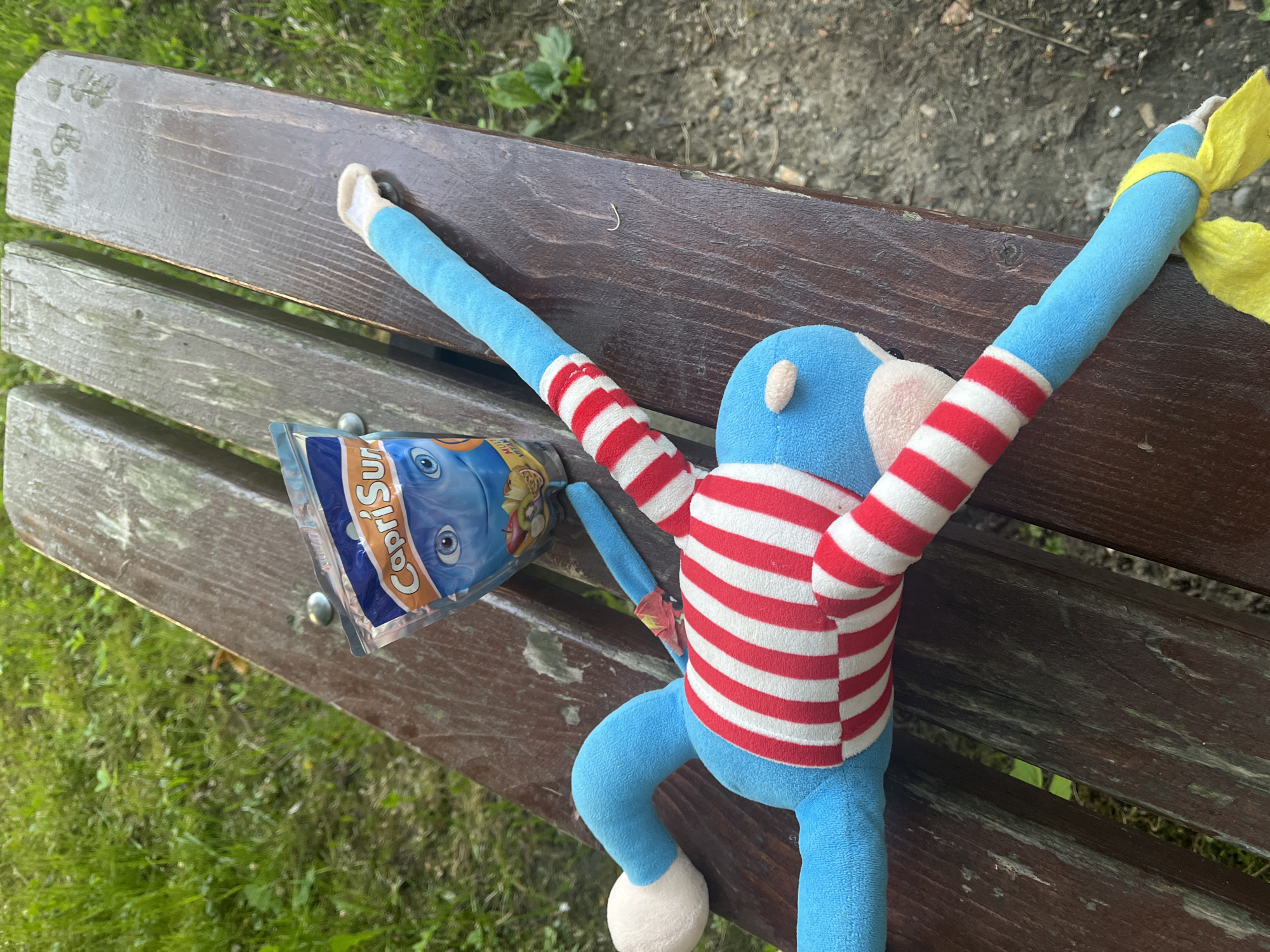 The image shows a blue and red striped monkey plush toy and an empty Capri Sun pouch resting on a park bench. The bench is made of dark-stained wood and has several slats. Green grass and vegetation are visible in the background. The location appears to be a public park.